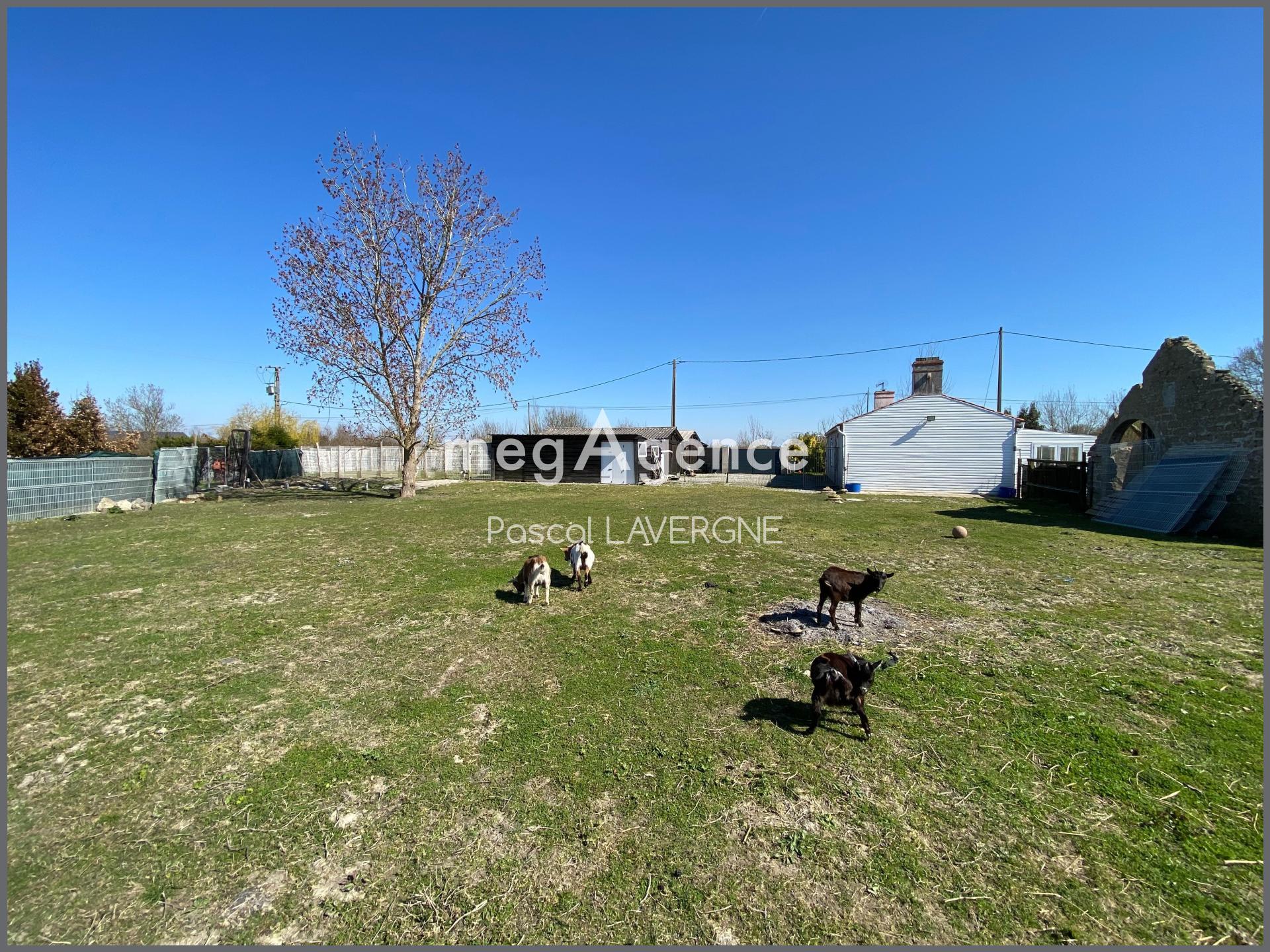 Miniature photo - 8 / 8