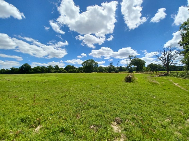 Miniature photo - 10 / 10