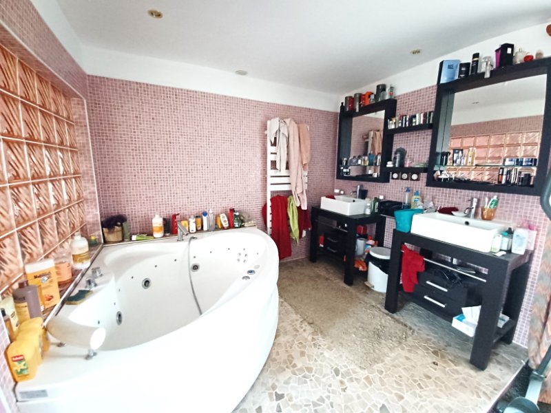 Miniature photo - 7 / 10