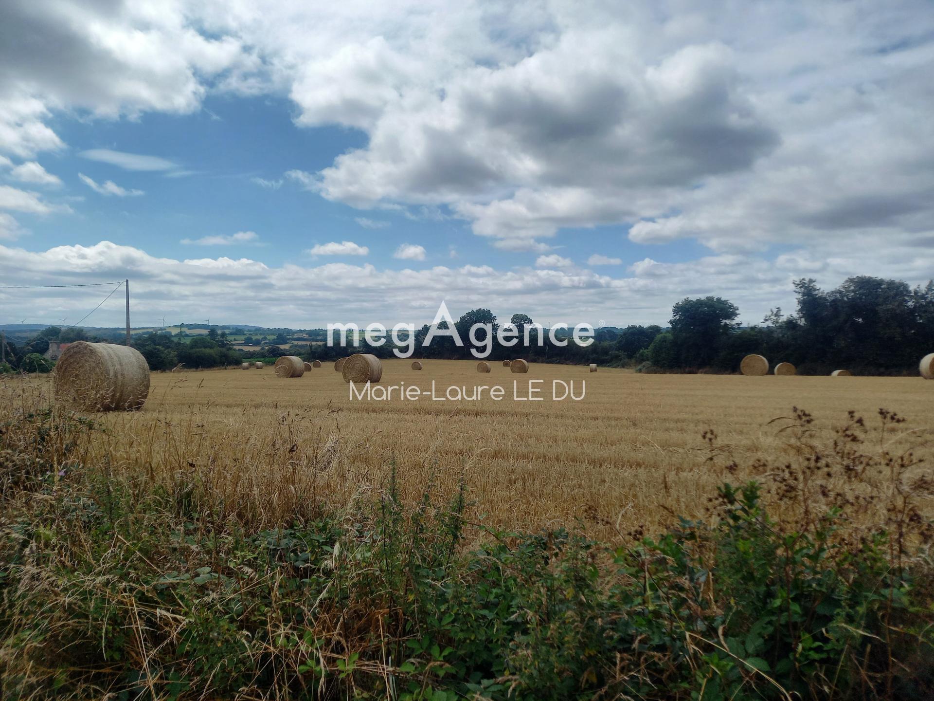 Miniature photo - 17 / 17