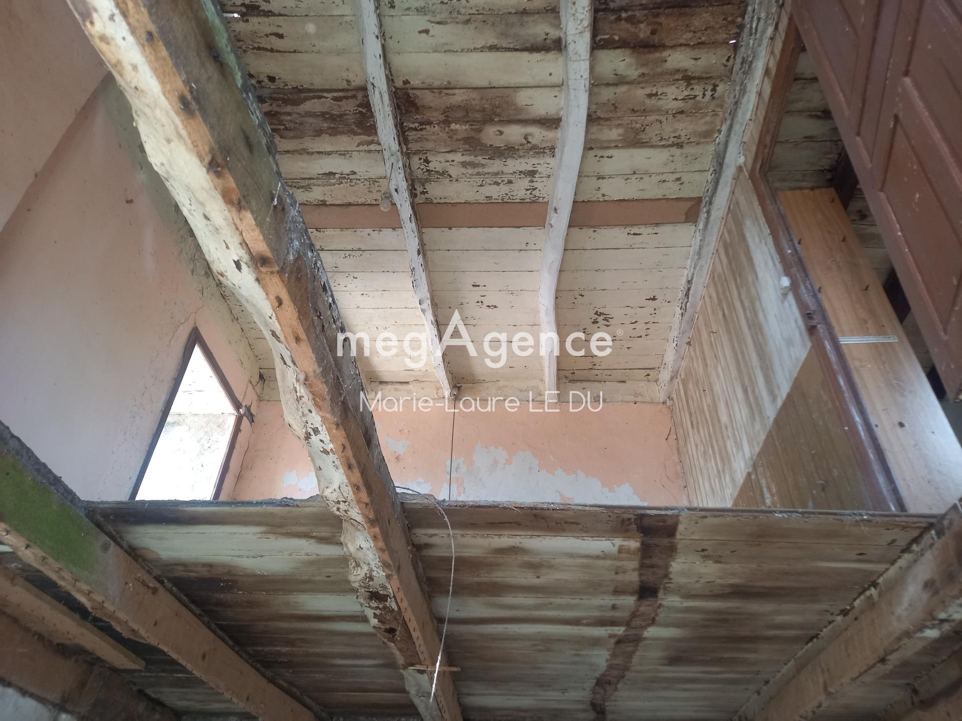 Miniature photo - 14 / 17