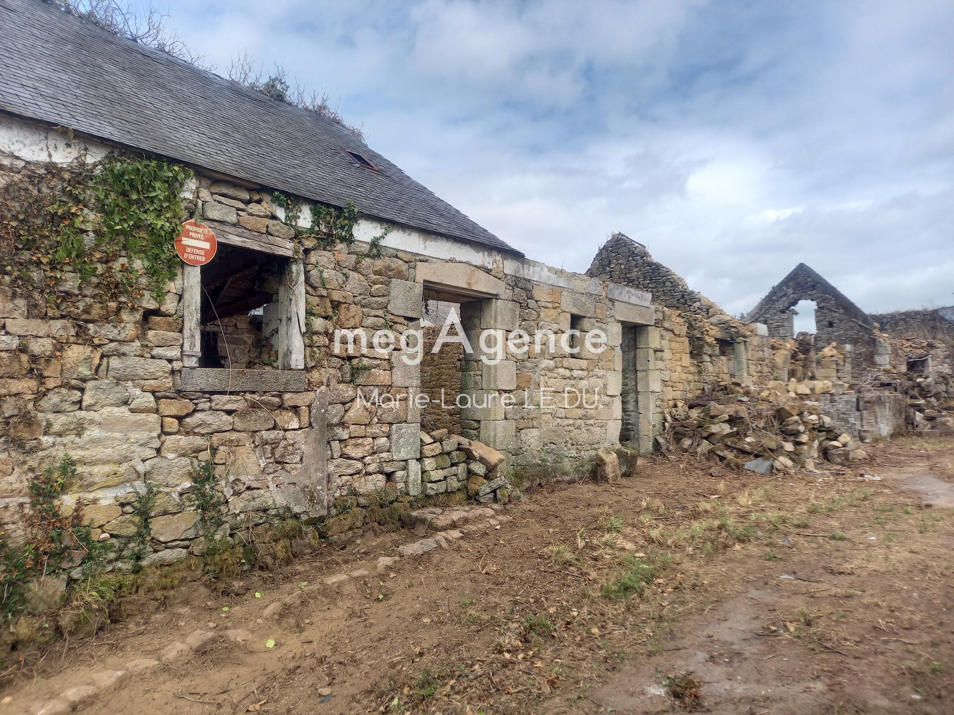 Miniature photo - 5 / 17