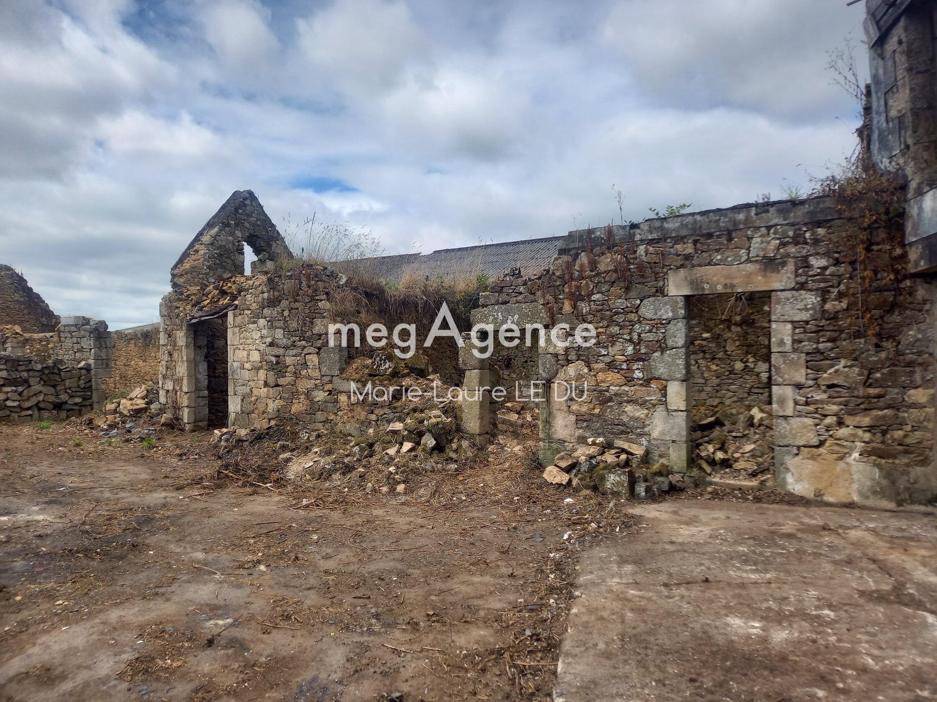 Miniature photo - 3 / 17