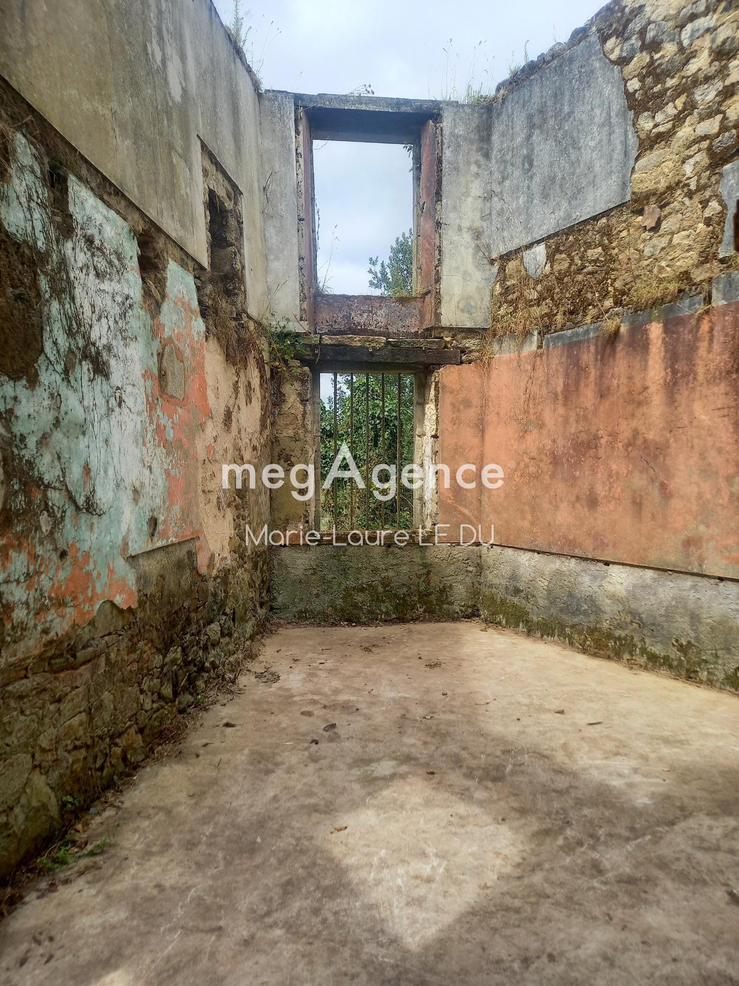 Miniature photo - 13 / 17