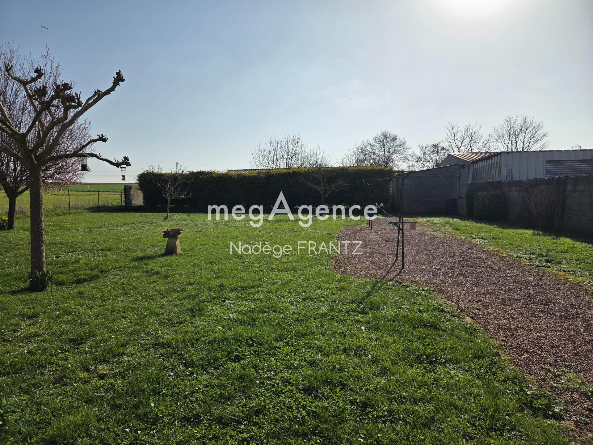 Miniature photo - 12 / 13