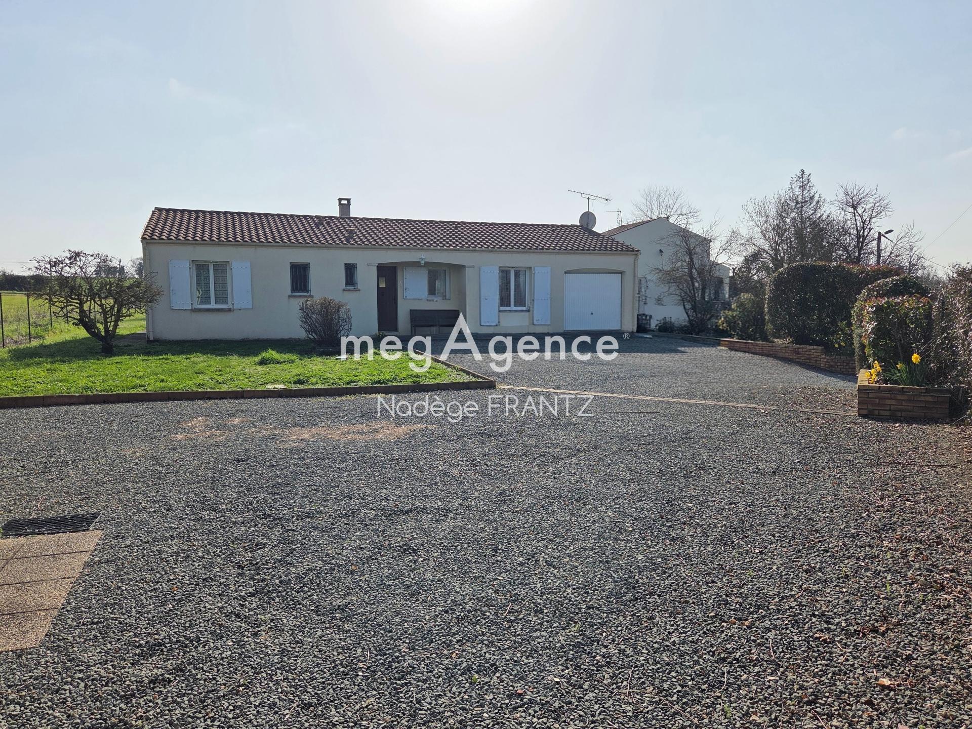 Miniature photo - 2 / 13