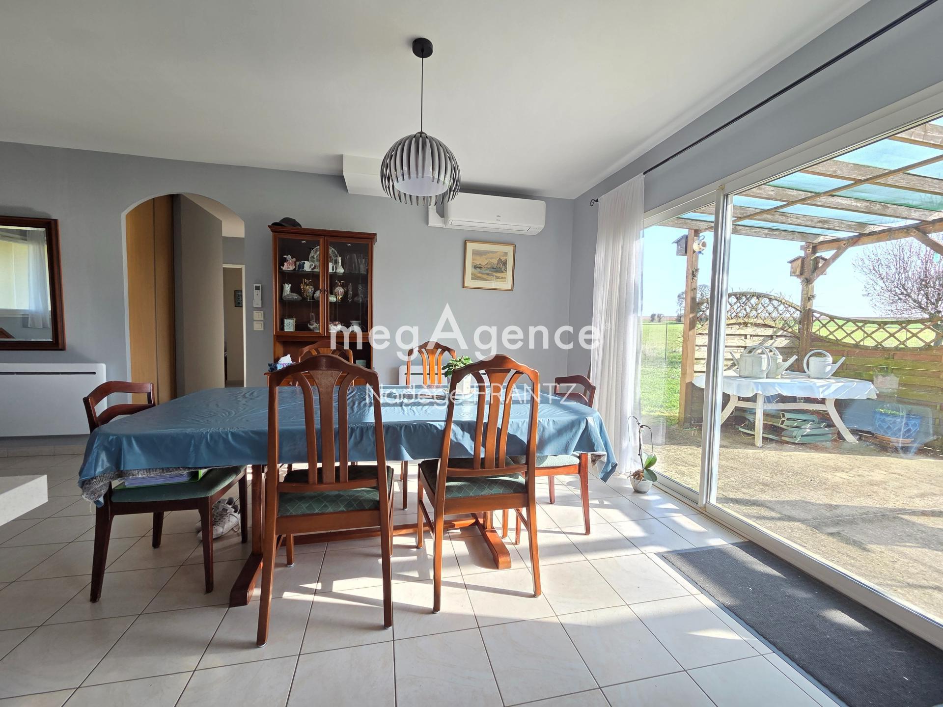 Miniature photo - 5 / 13