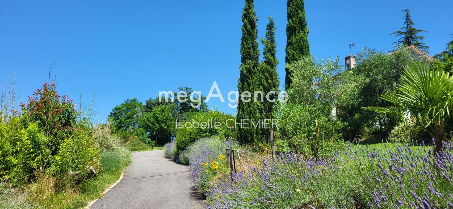 Miniature photo - 2 / 9