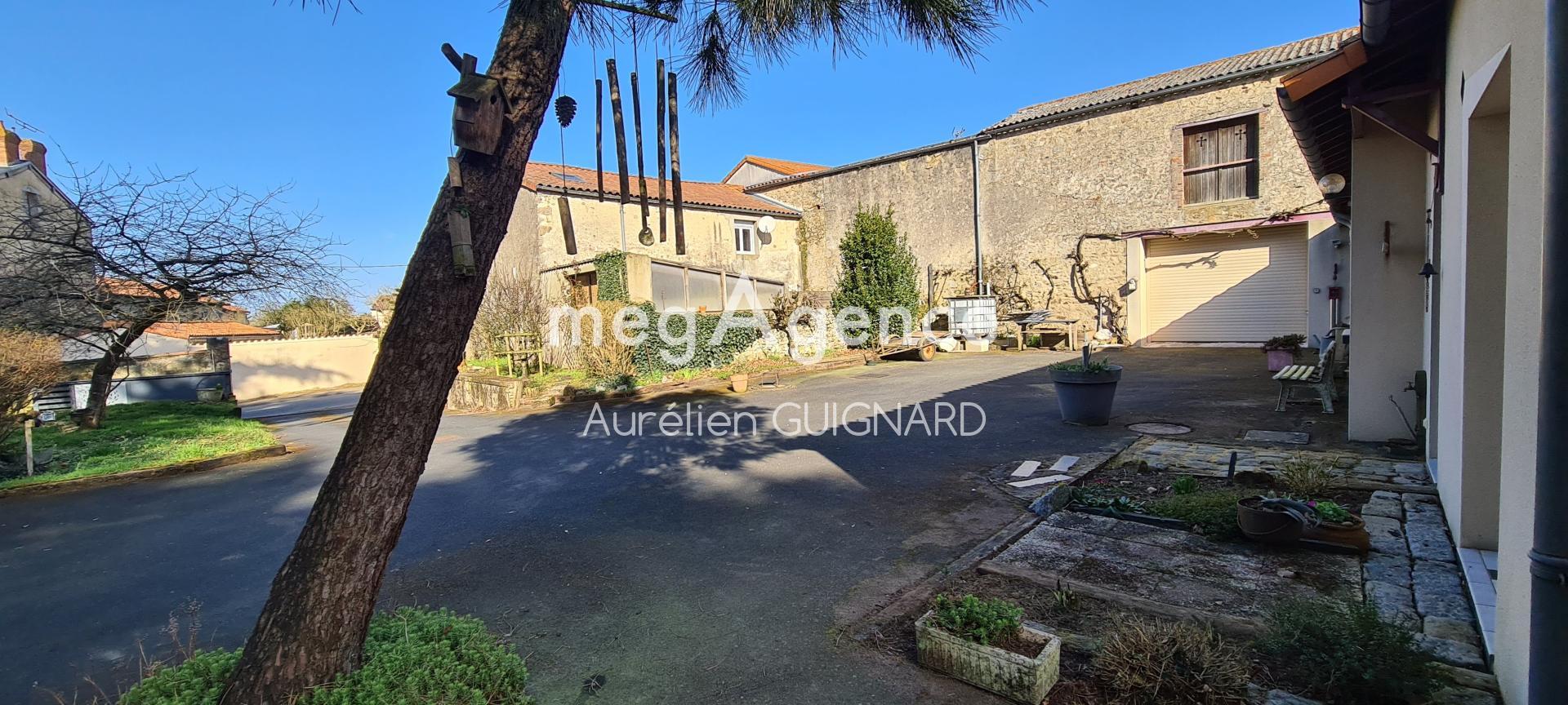 Miniature photo - 18 / 20