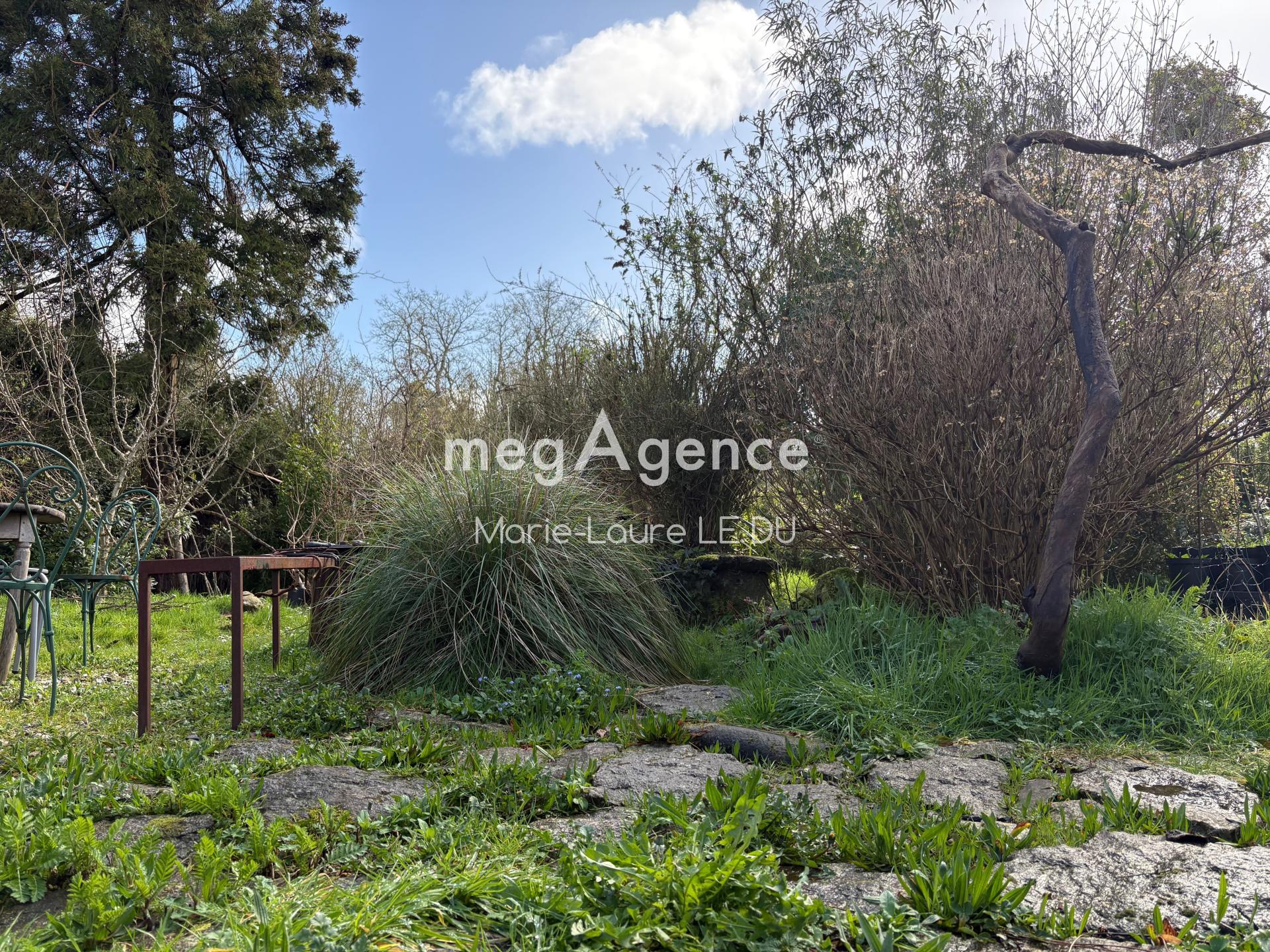 Miniature photo - 4 / 15