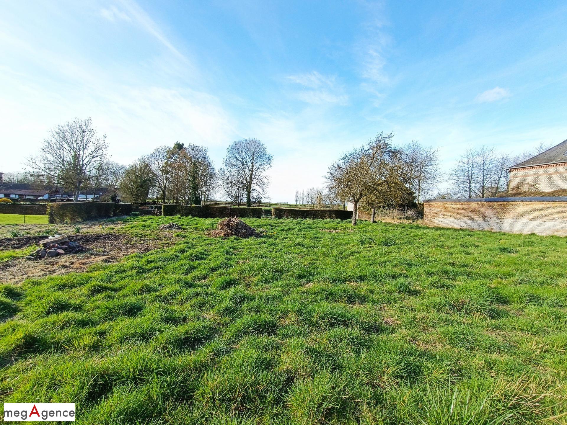 Miniature photo - 4 / 5