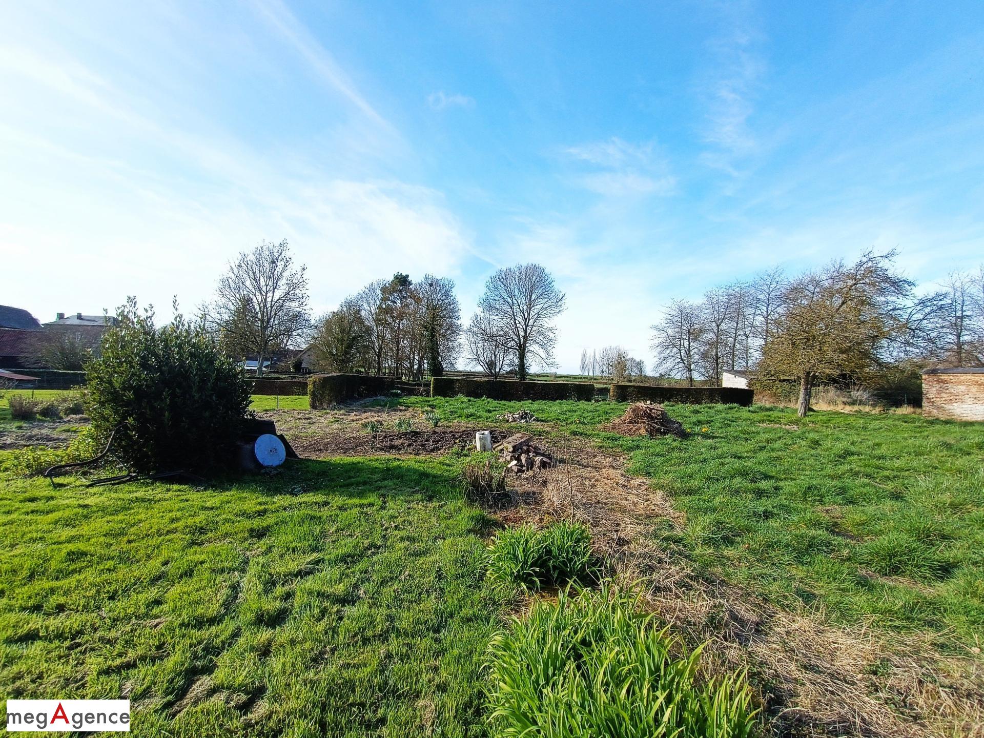 Miniature photo - 3 / 5