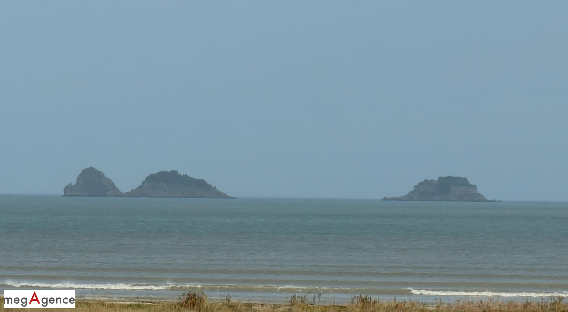 Miniature photo - 2 / 3