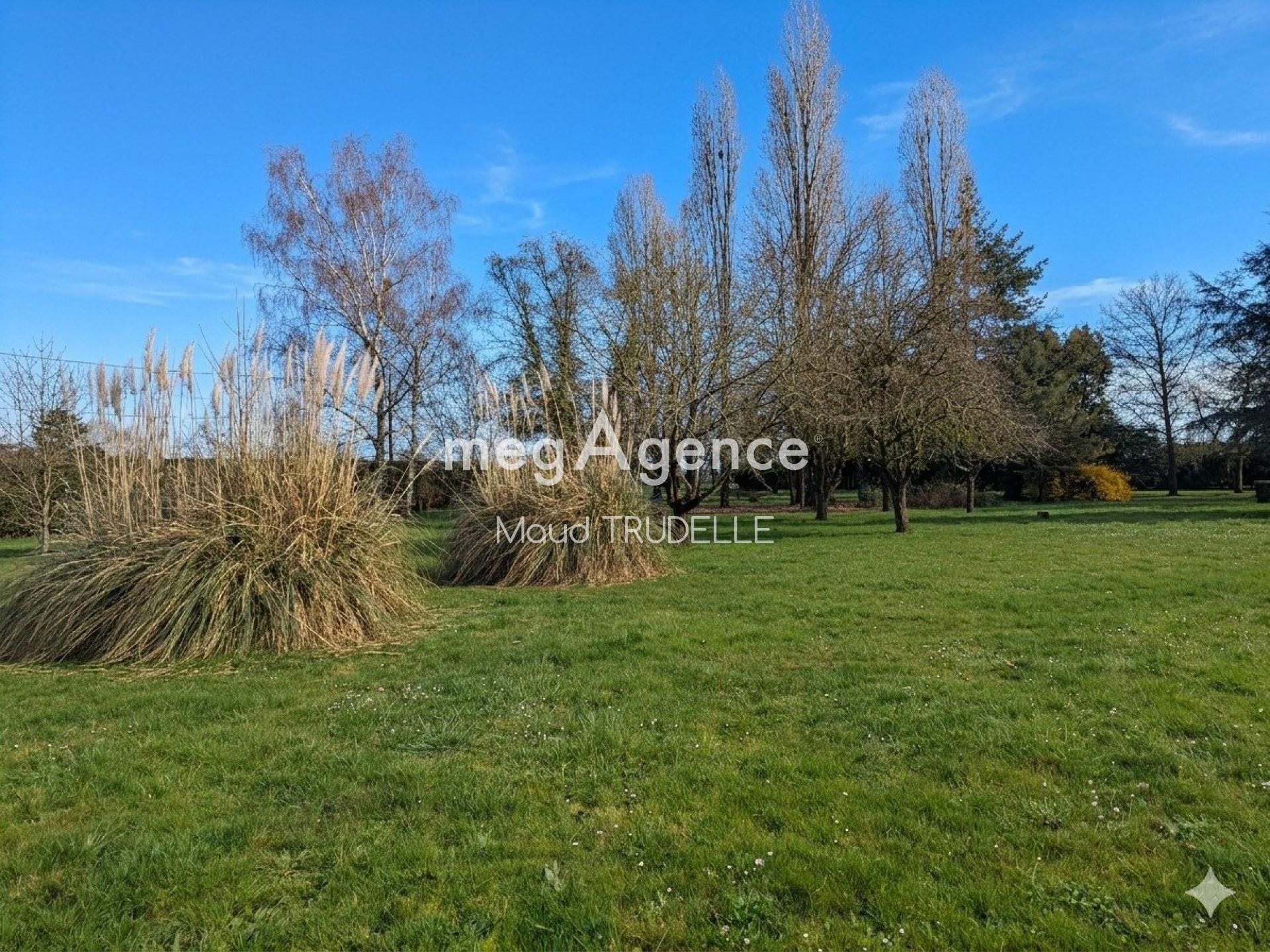 Miniature photo - 4 / 12