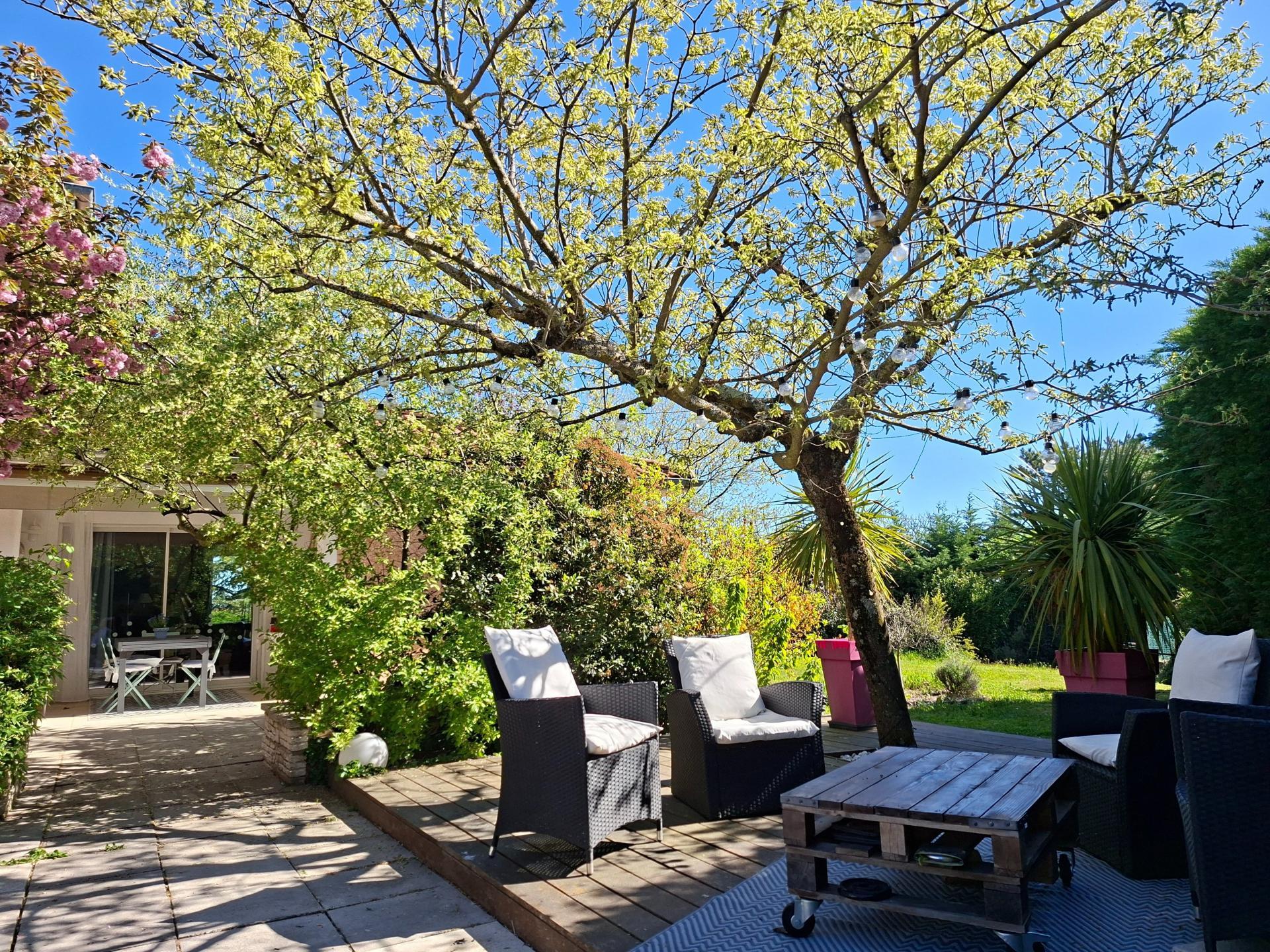 Miniature photo - 2 / 11