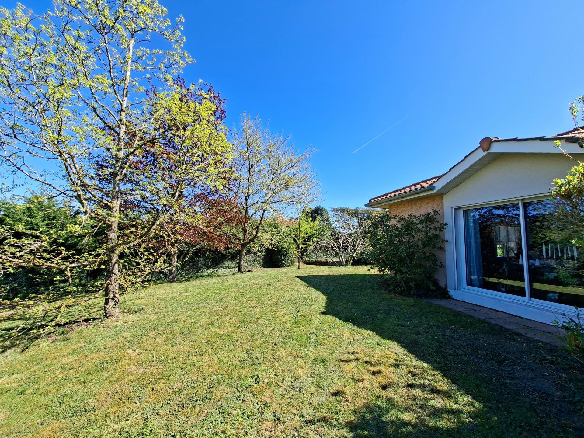 Miniature photo - 11 / 11