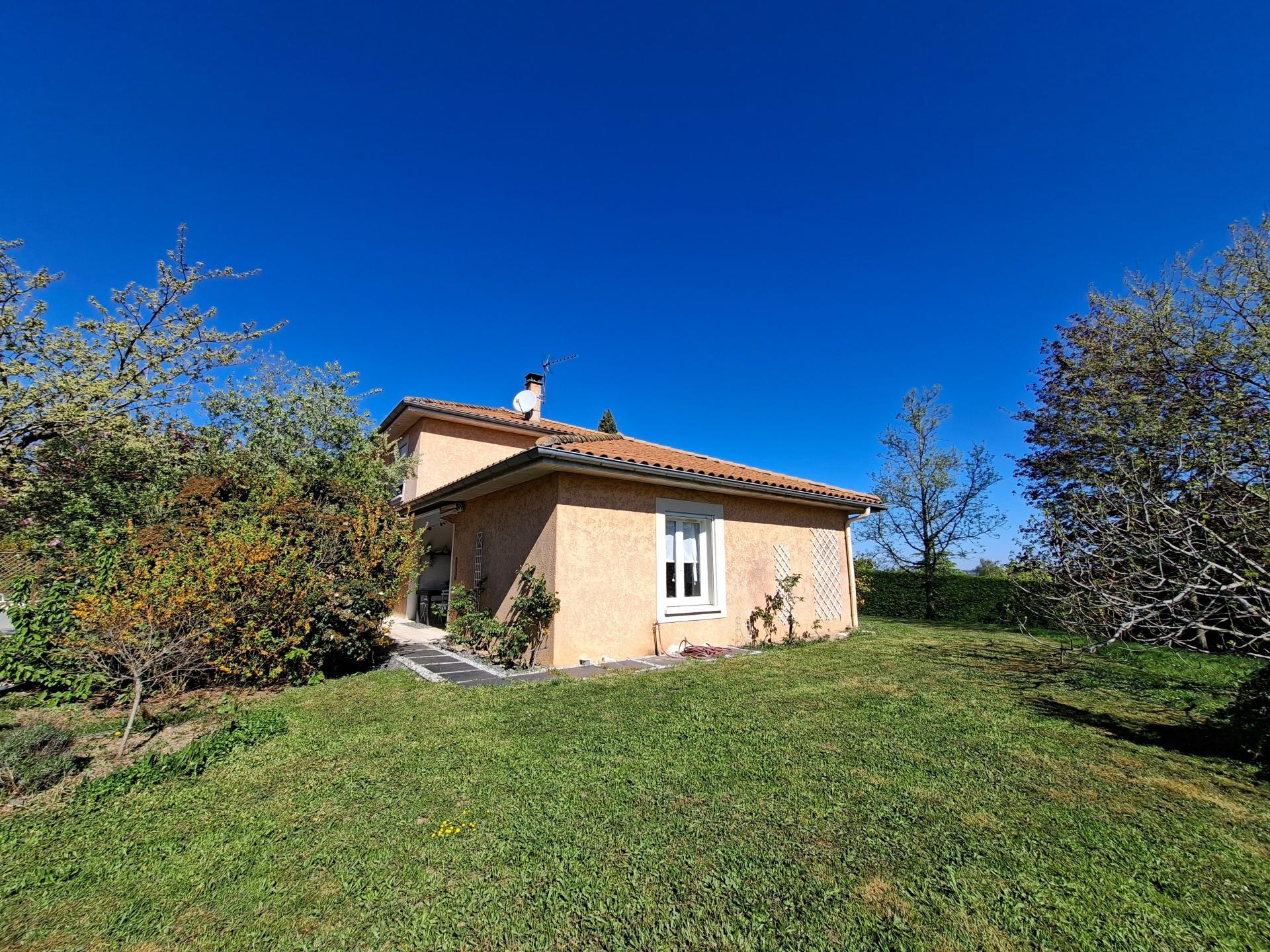 Miniature photo - 3 / 11