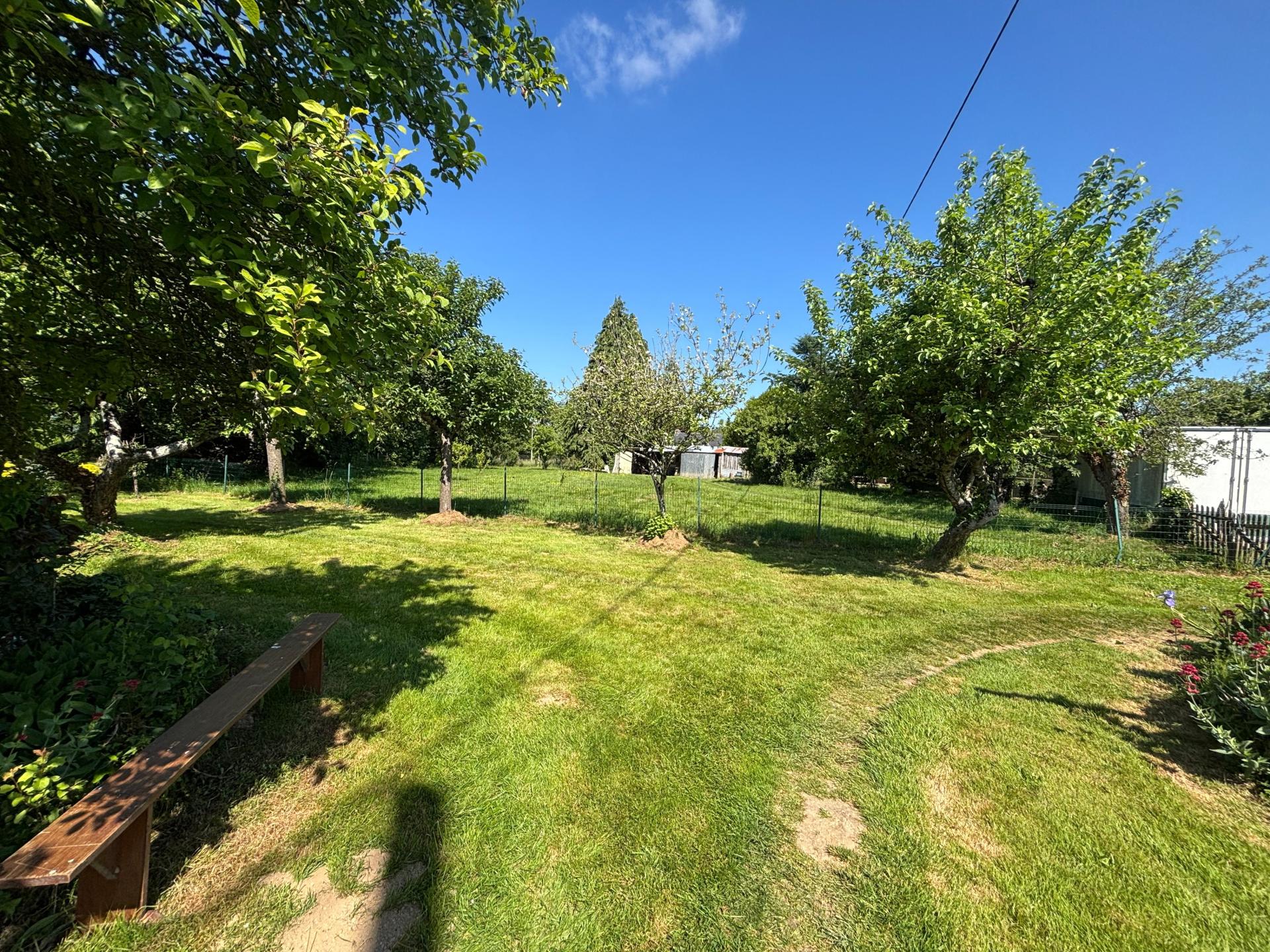 Miniature photo - 12 / 12