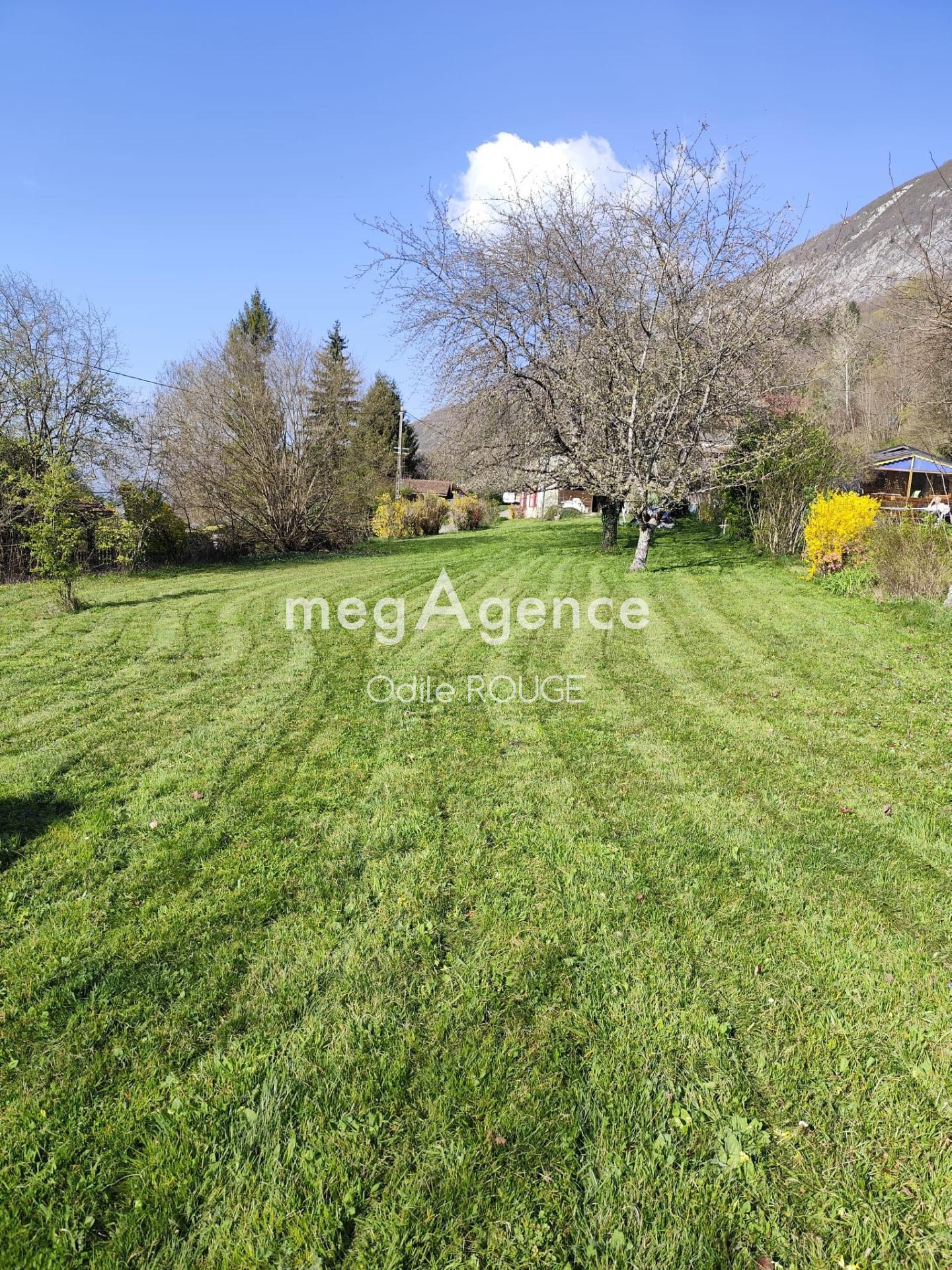 Miniature photo - 2 / 12