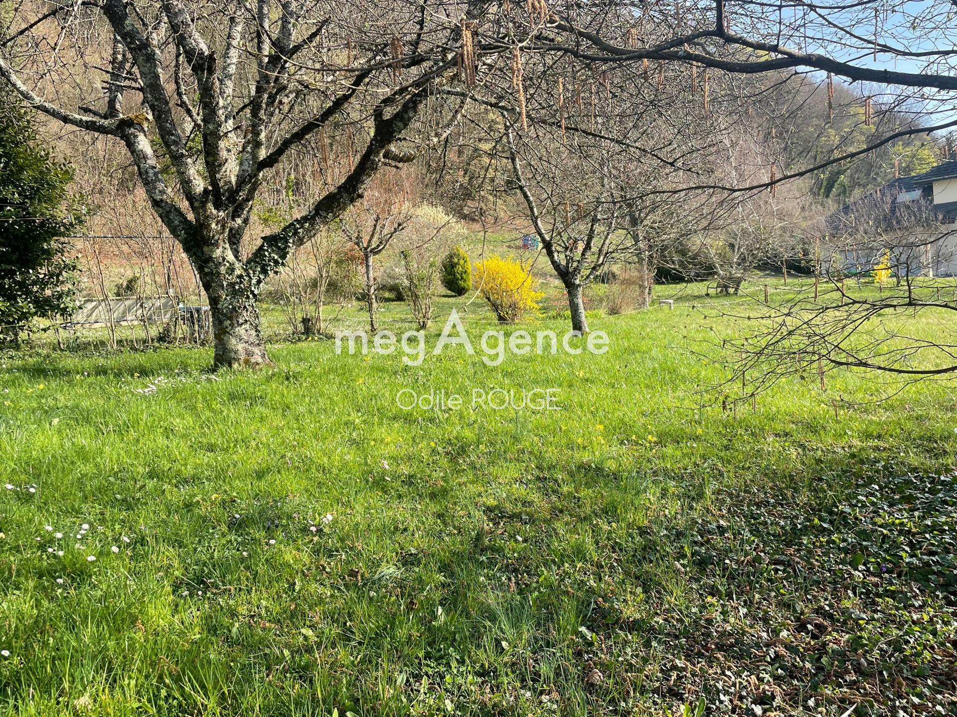 Miniature photo - 5 / 12