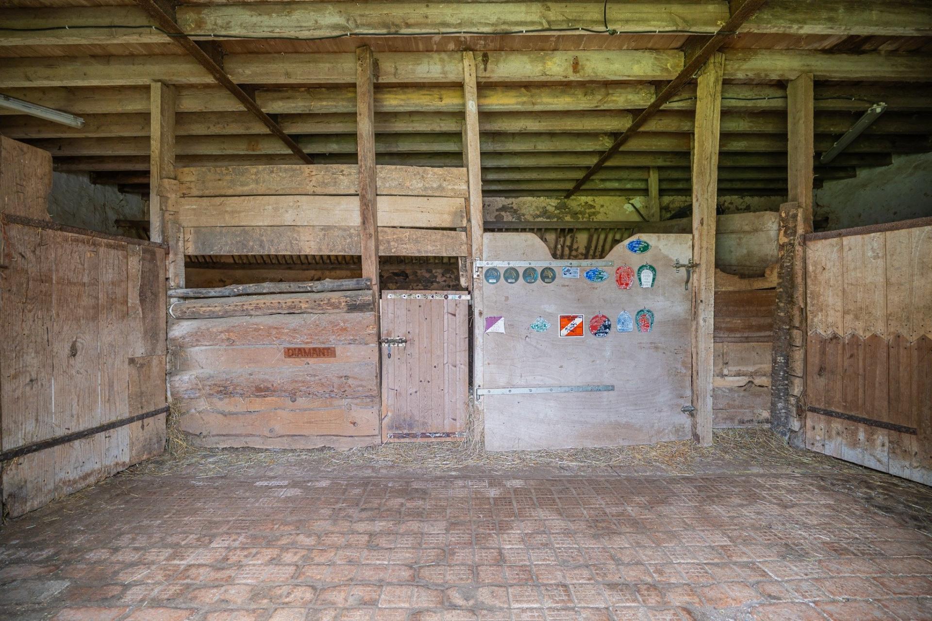 Miniature photo - 17 / 18