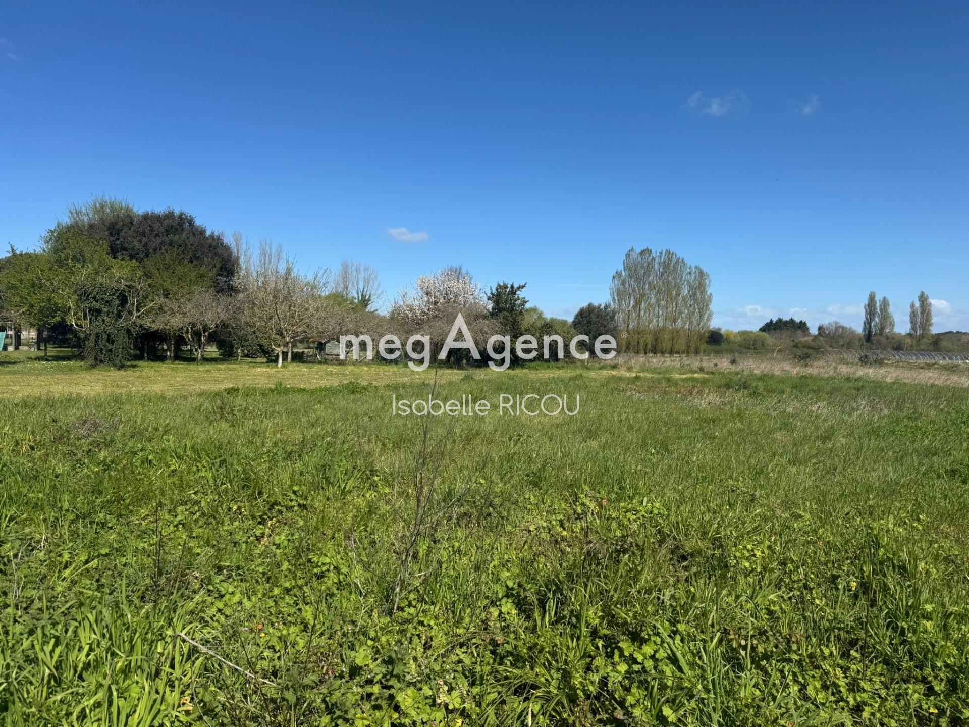 Miniature photo - 7 / 7