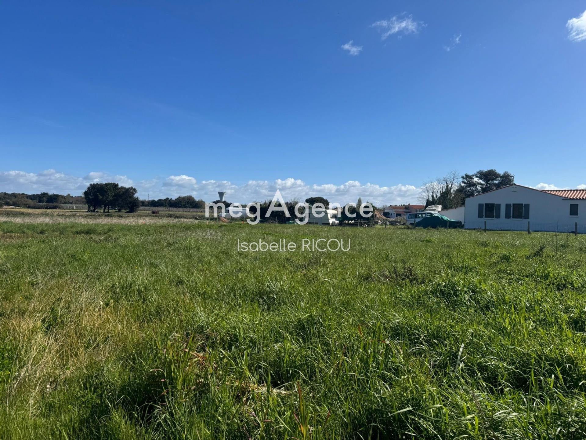 Miniature photo - 2 / 7