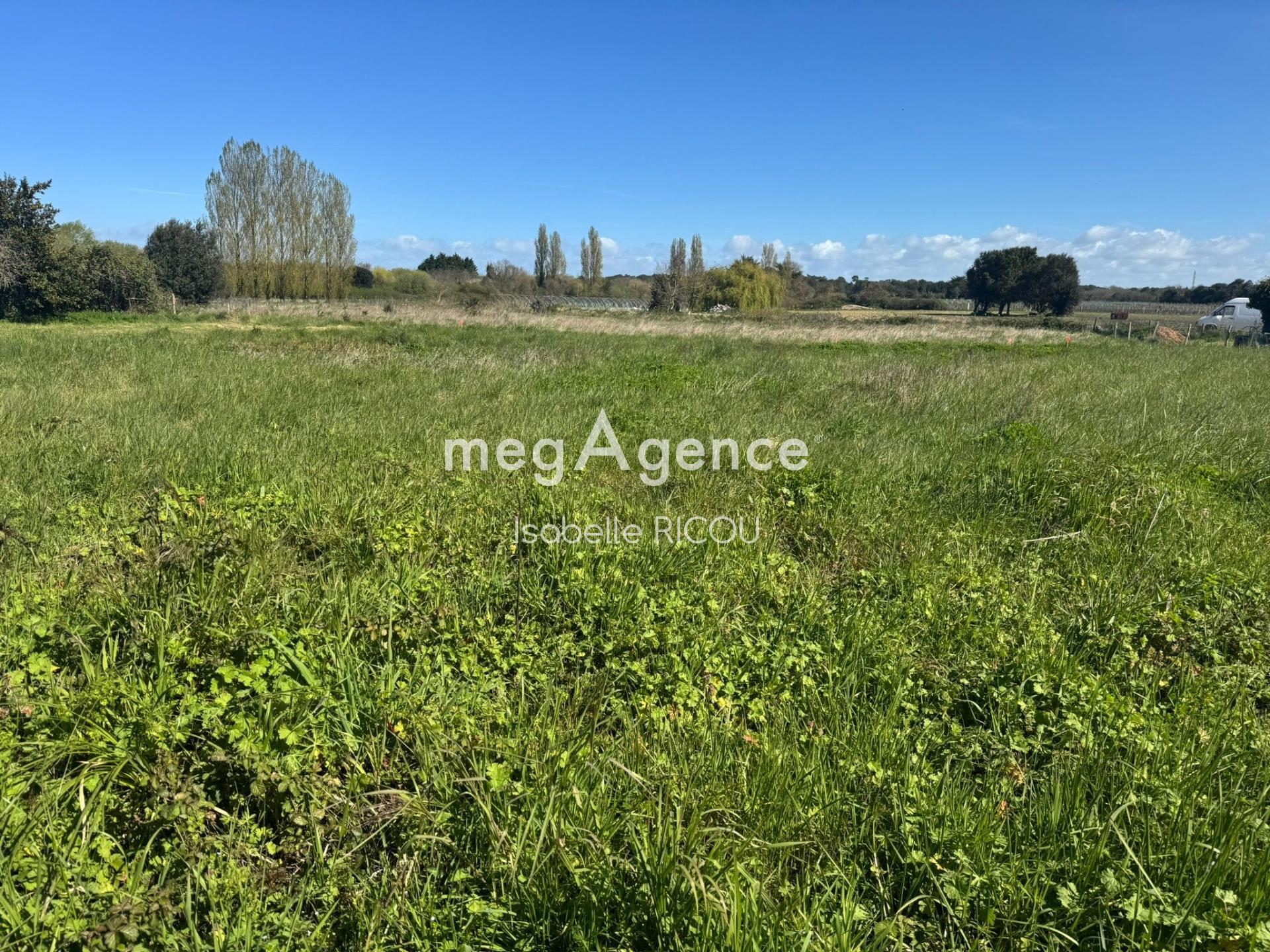 Miniature photo - 3 / 7