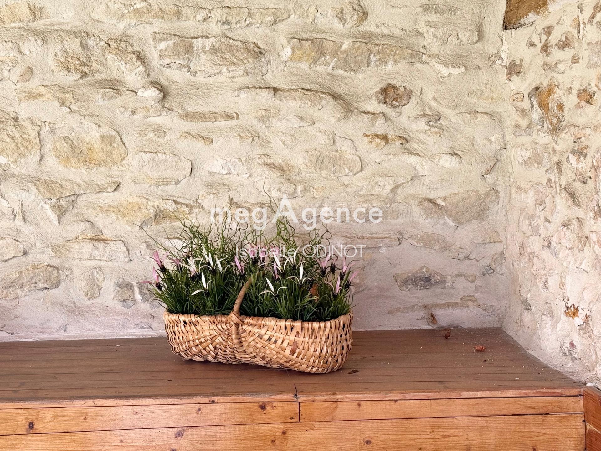 Miniature photo - 12 / 17