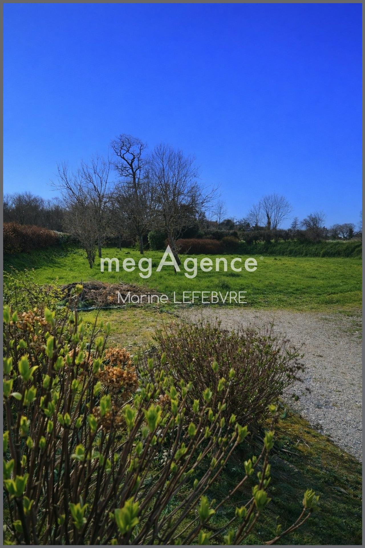 Miniature photo - 3 / 8