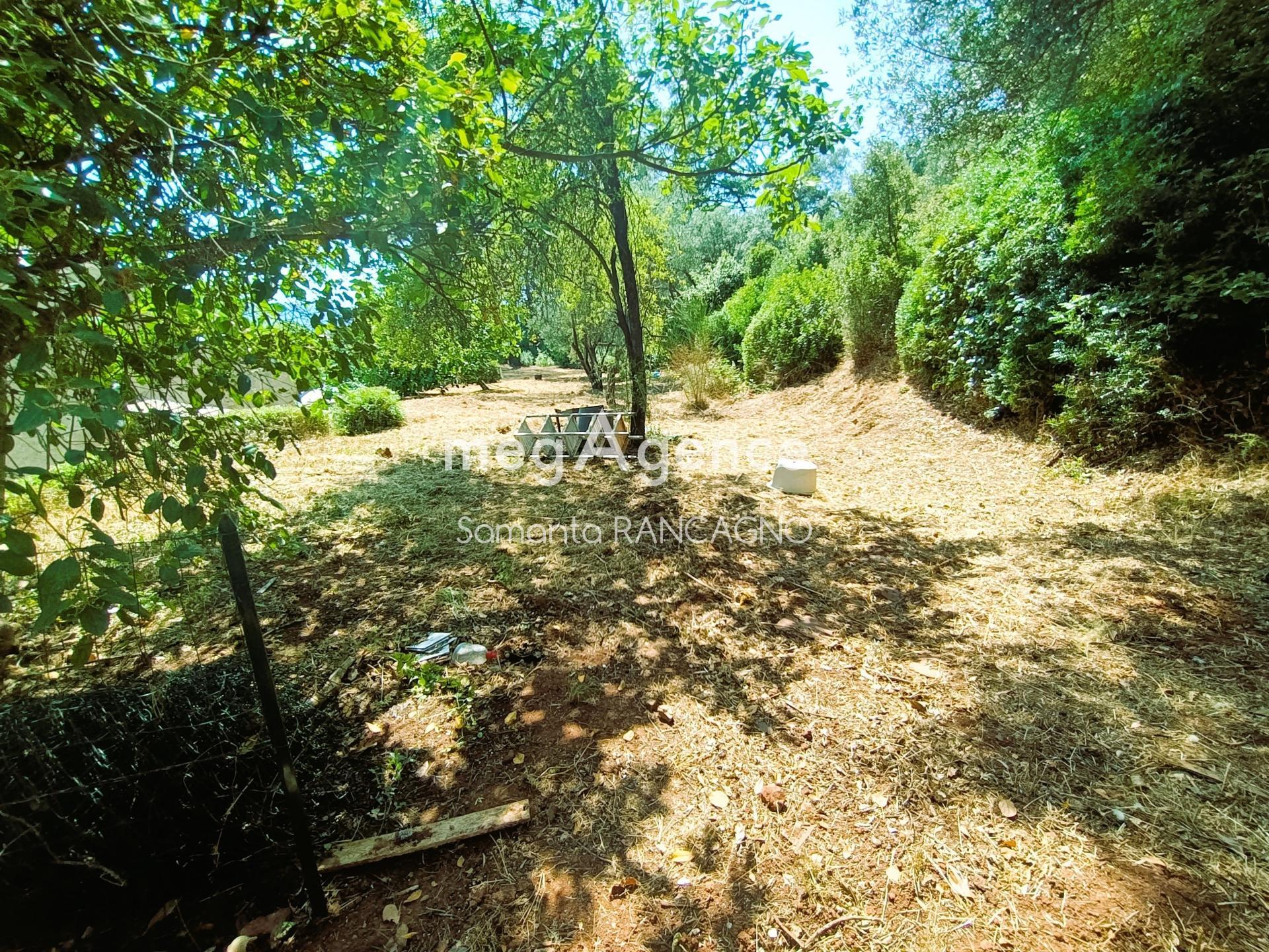 Miniature photo - 10 / 10