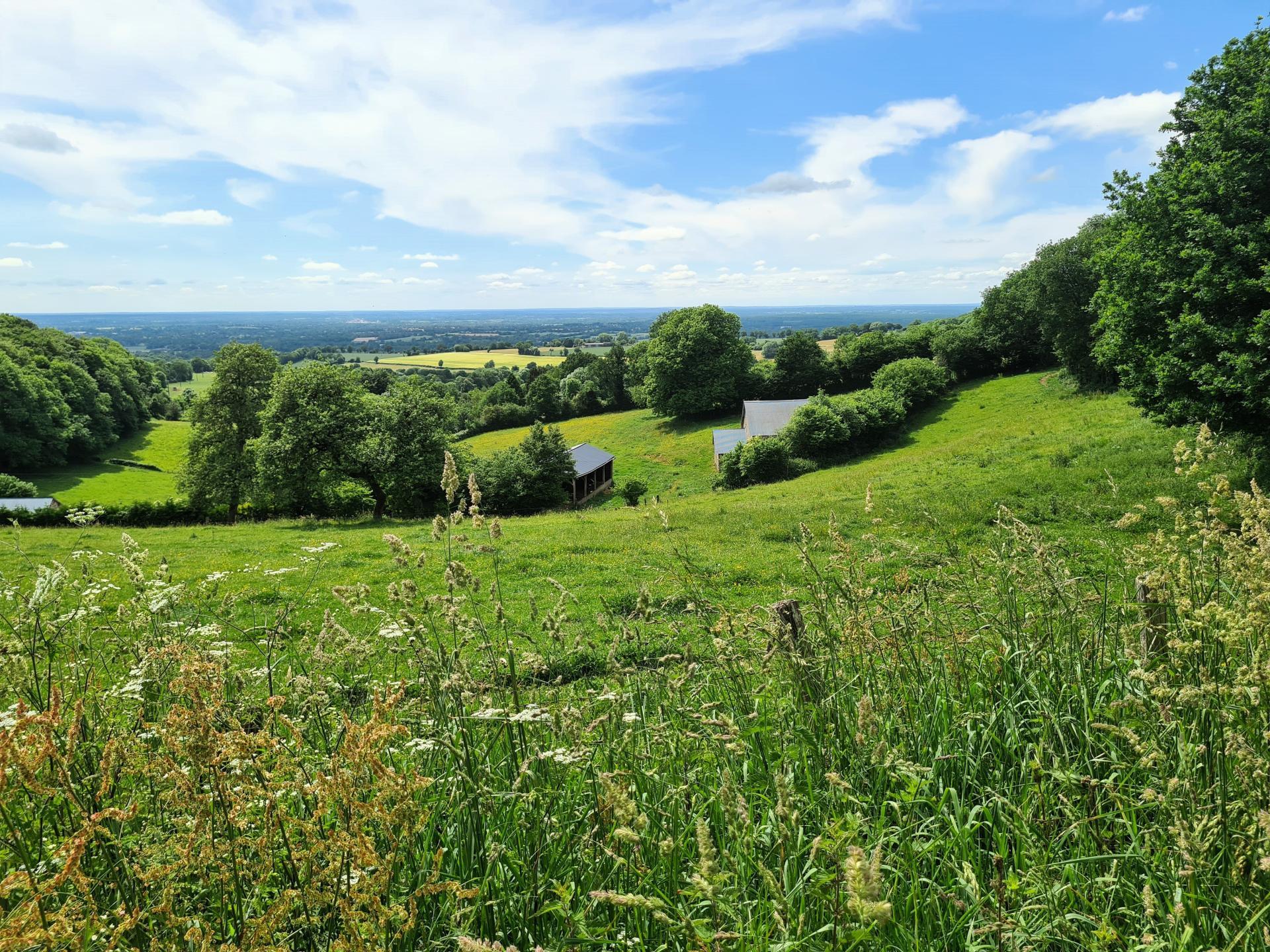 Terrain à SAINTE-GEMMES-LE-ROBERT, 53600 - 22012m² · 55 000 €