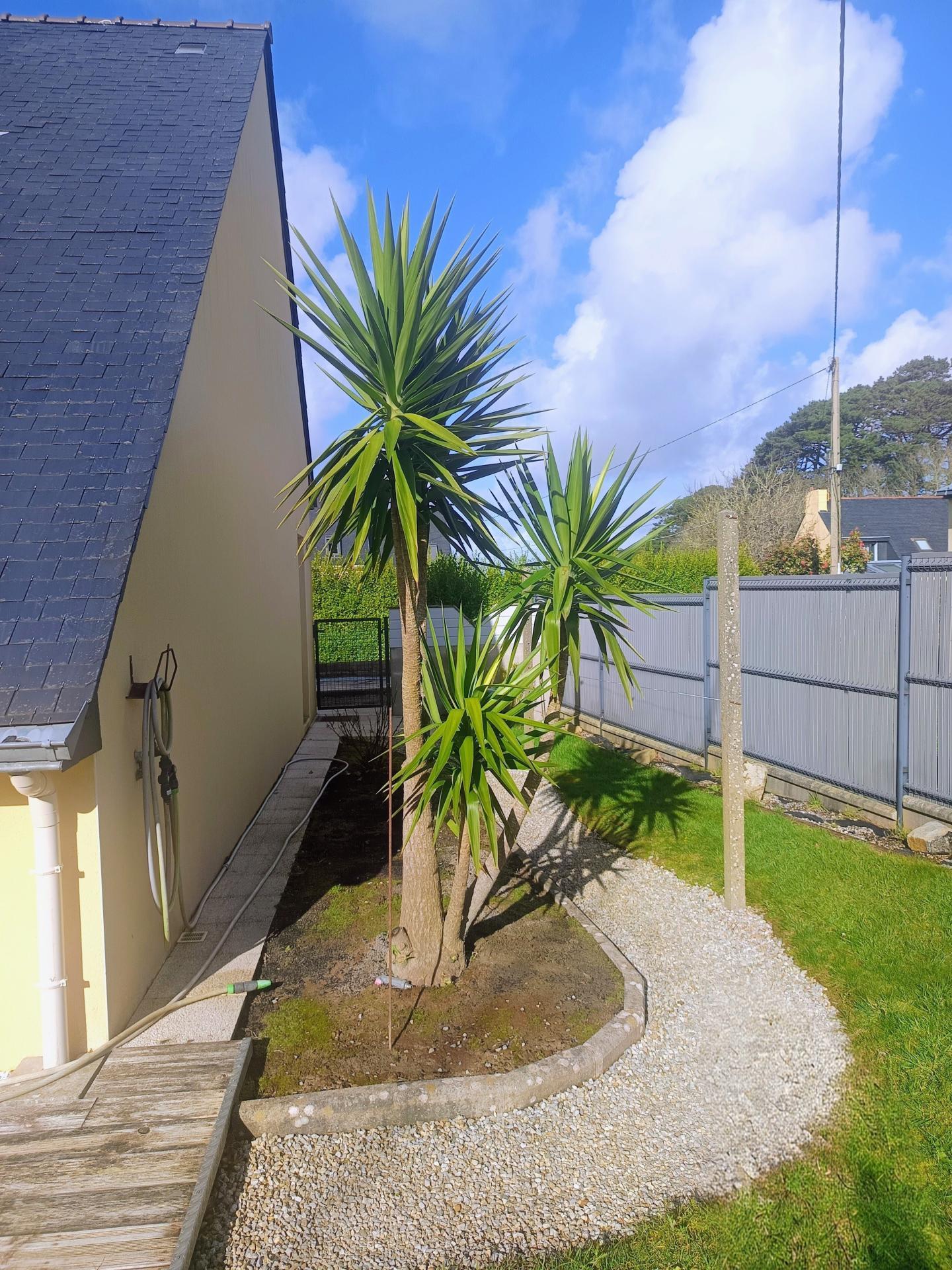 Miniature photo - 4 / 16