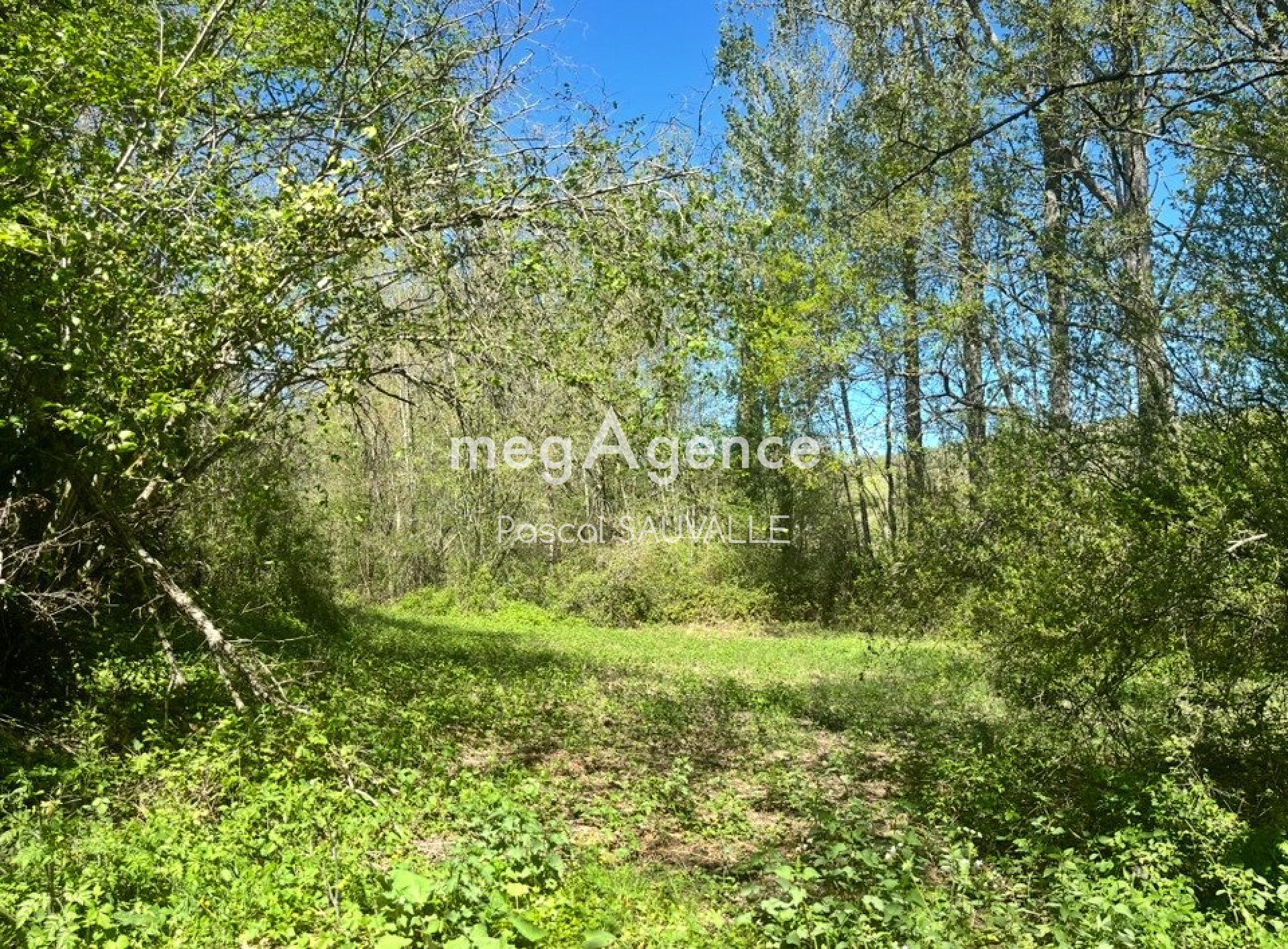 Miniature photo - 2 / 2