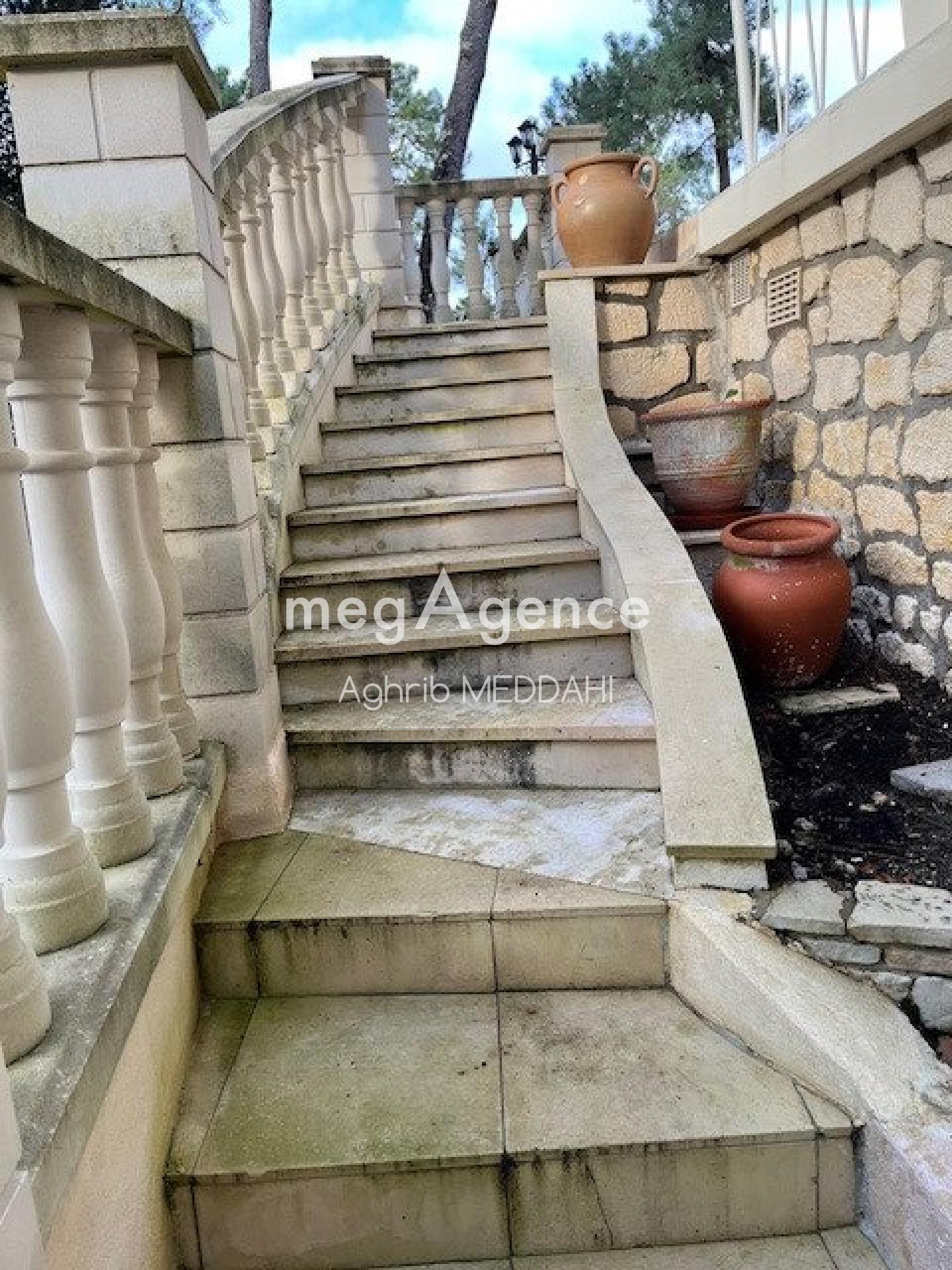 Miniature photo - 13 / 16