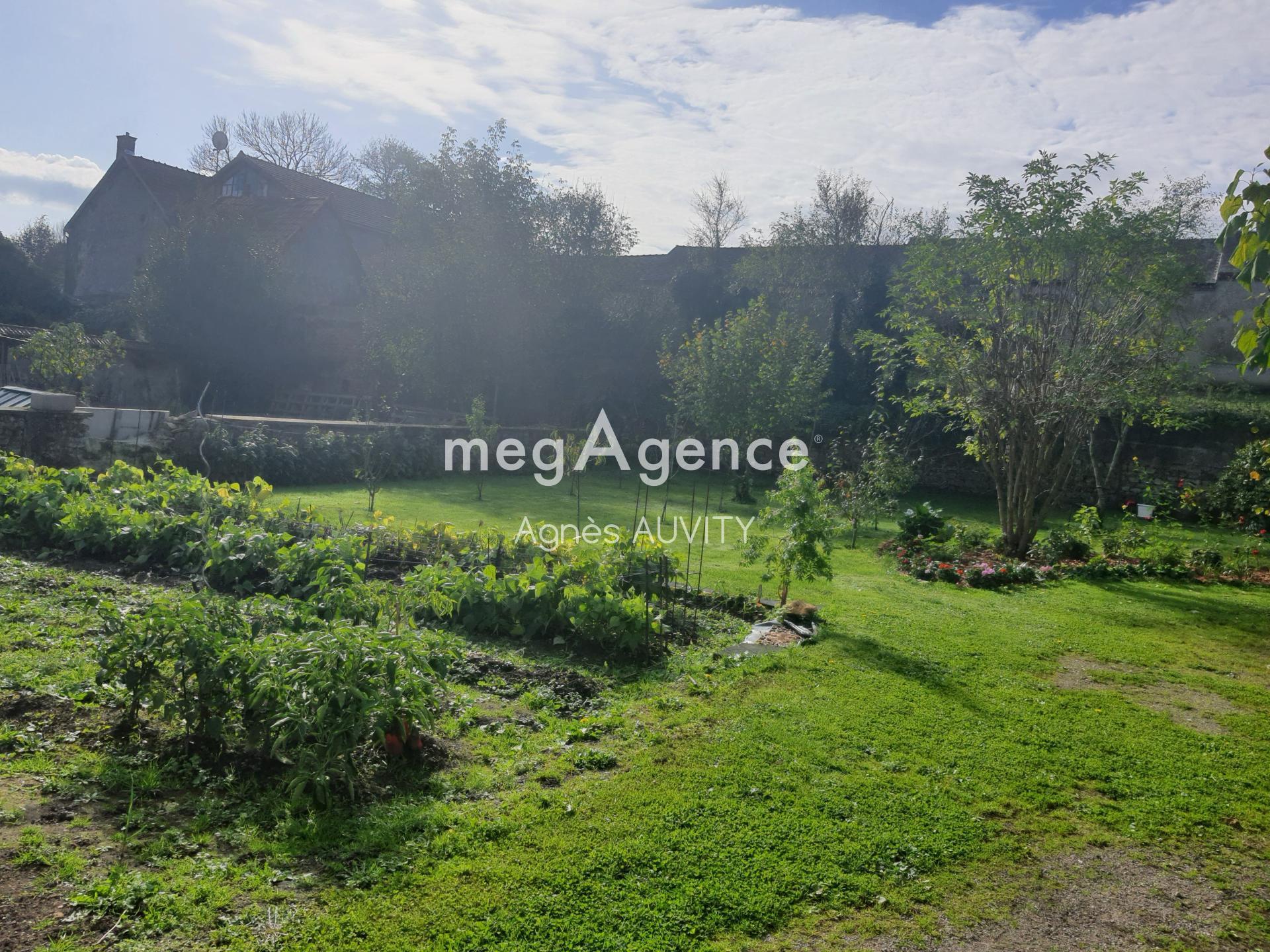 Miniature photo - 11 / 11