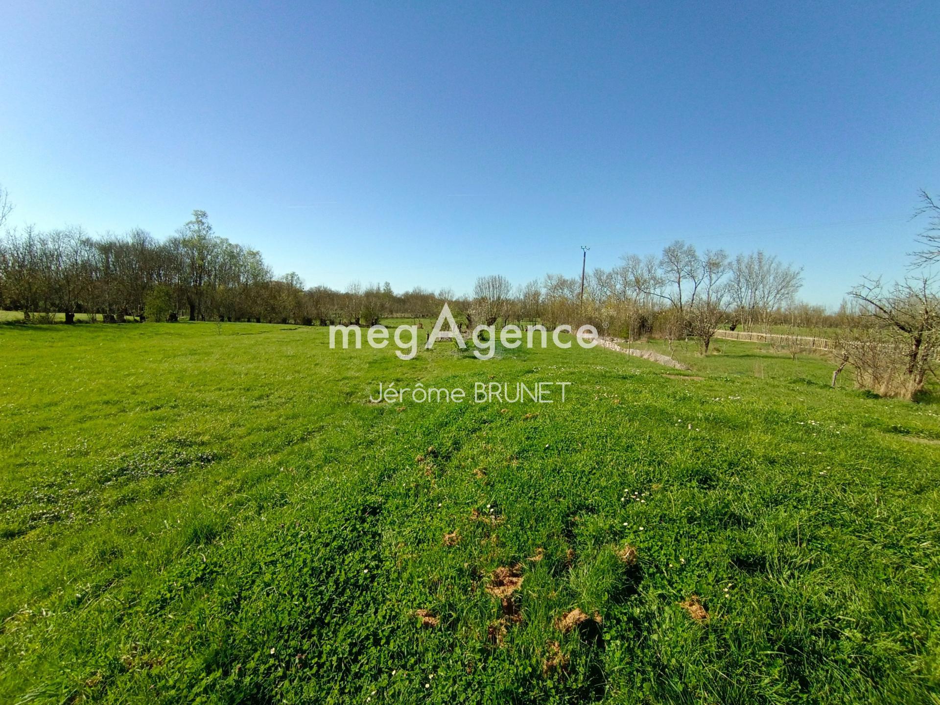 Miniature photo - 13 / 14