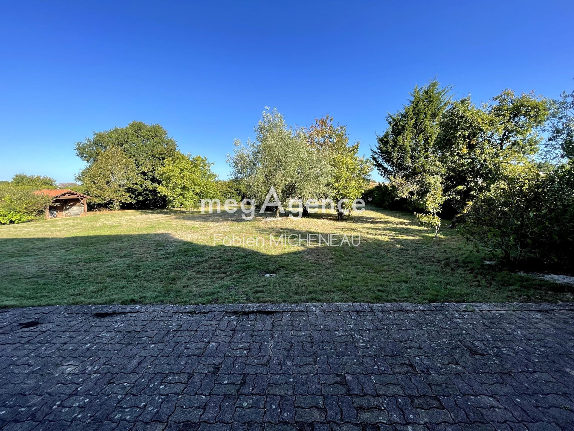 Miniature photo - 11 / 12