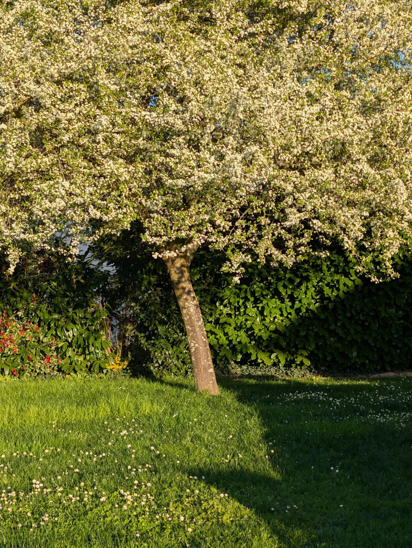 Photographie descriptive du bien