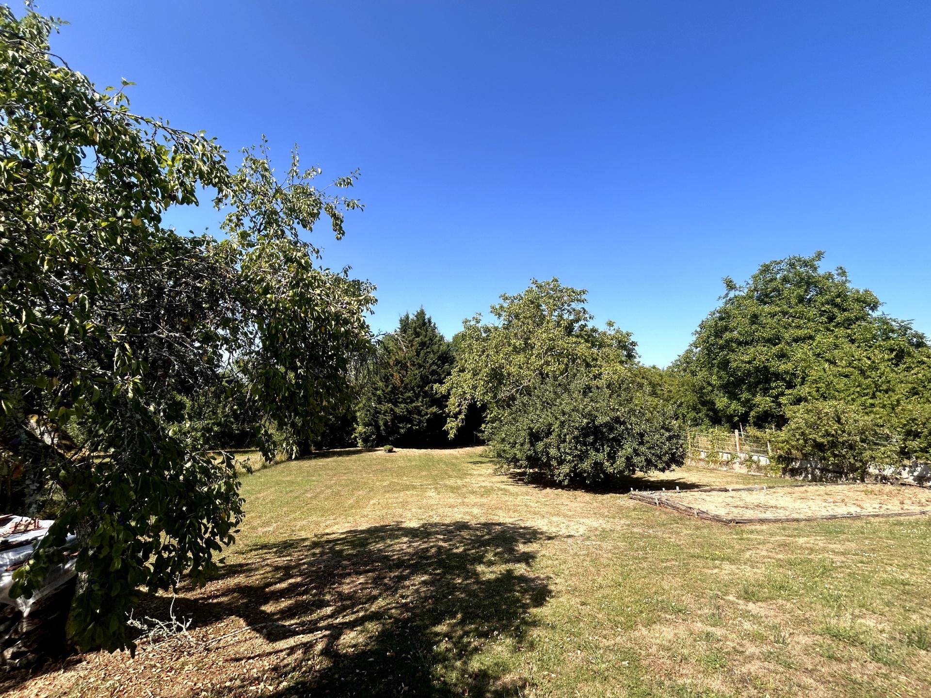 Miniature photo - 2 / 7