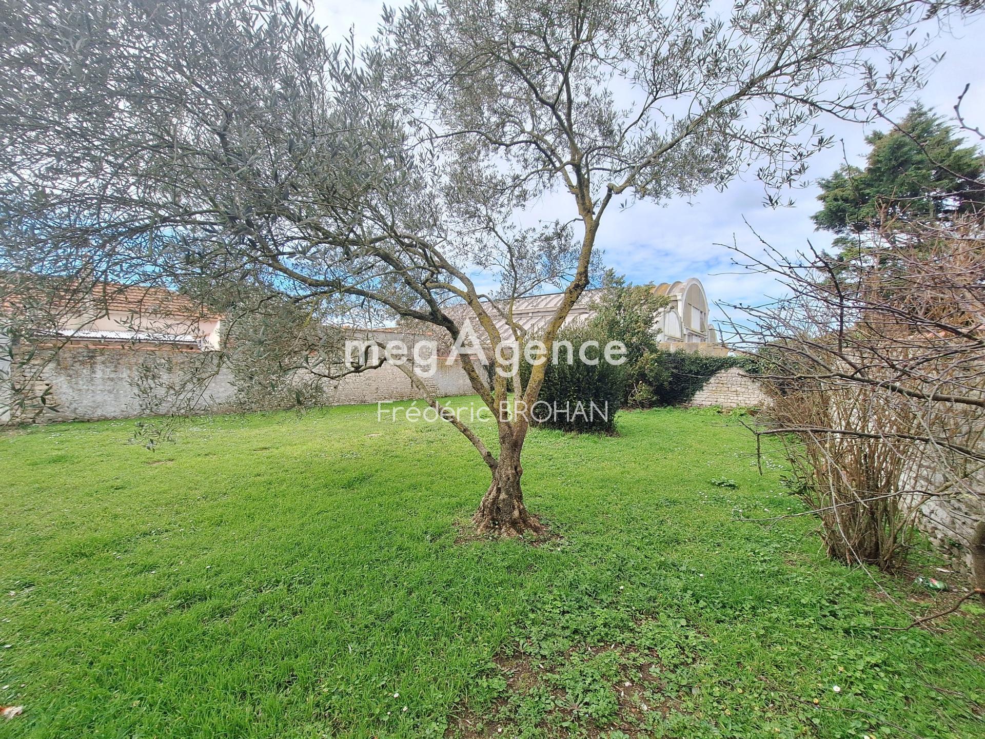 Miniature photo - 3 / 3