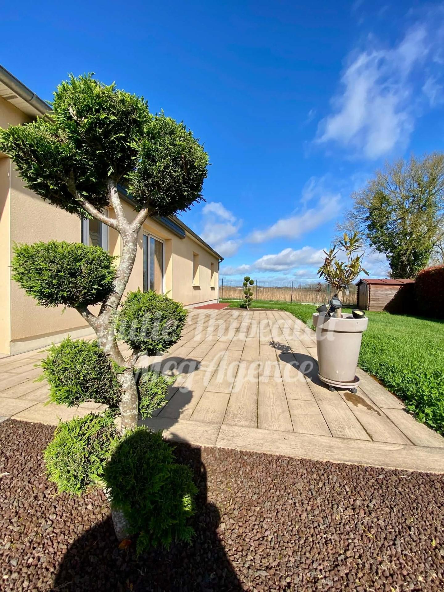 Miniature photo - 11 / 13