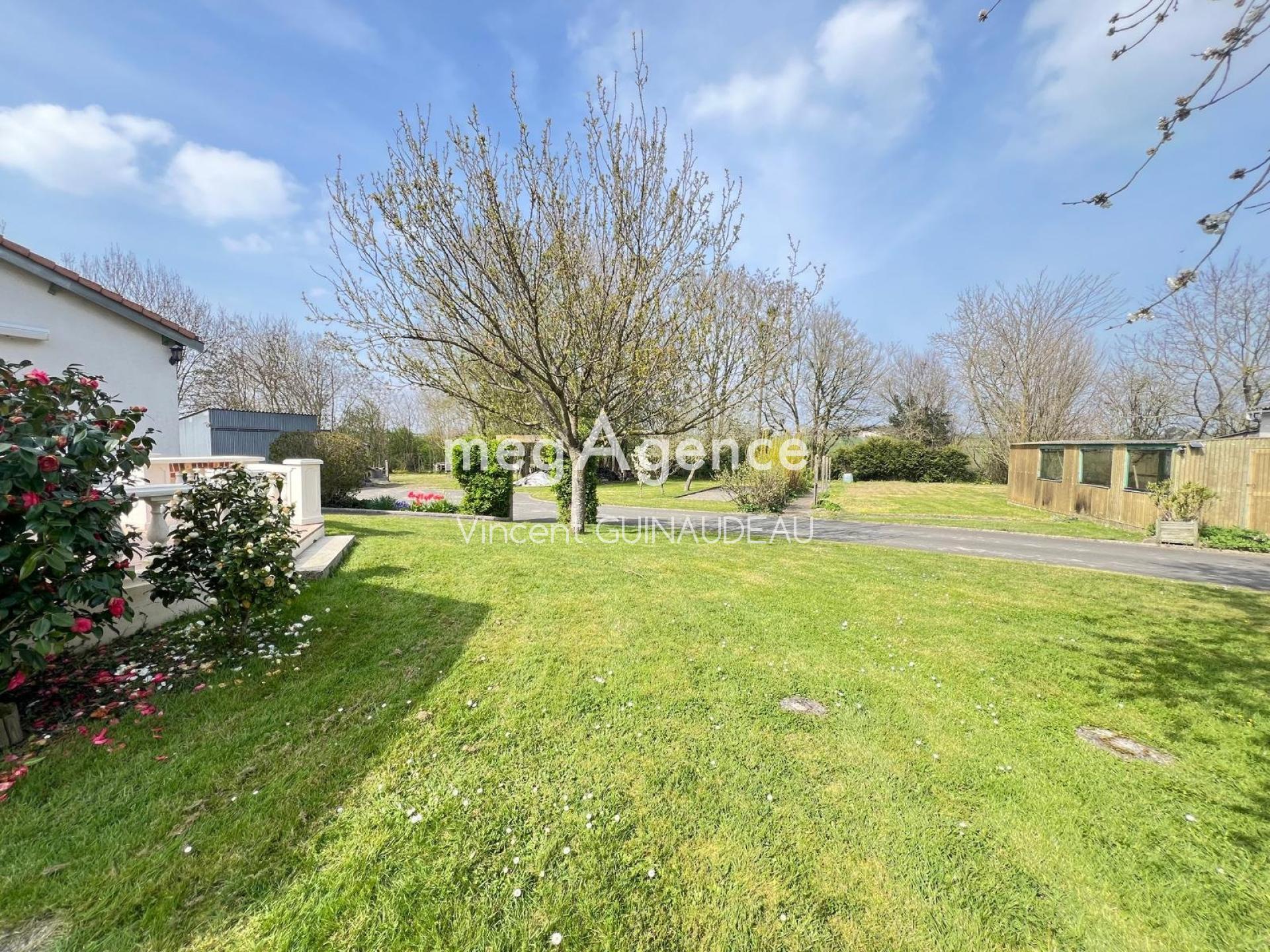 Miniature photo - 13 / 15