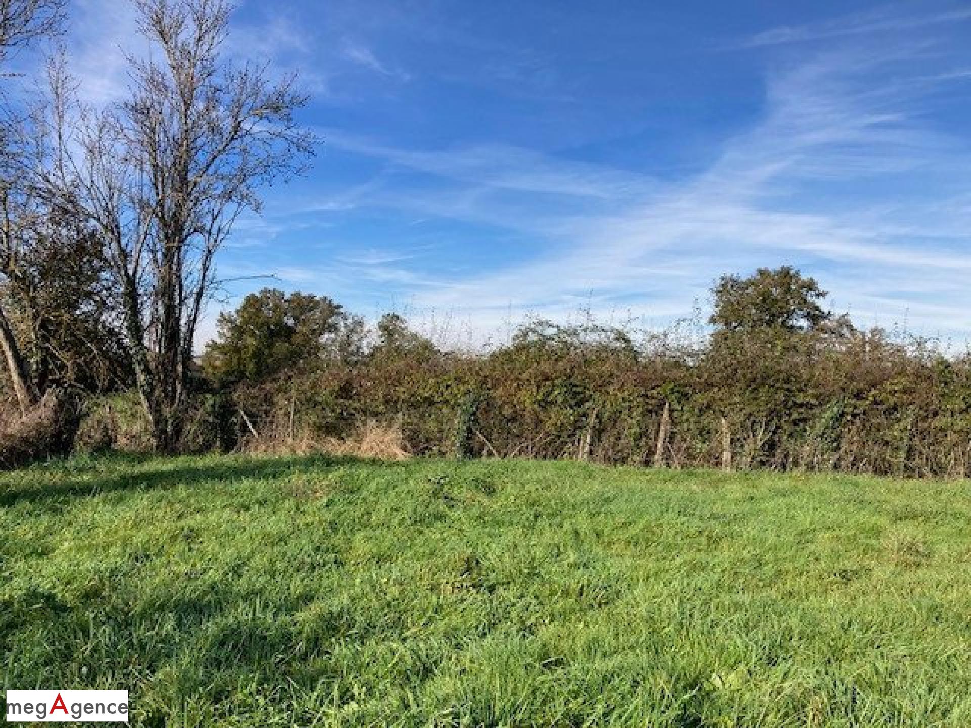 Miniature photo - 5 / 5