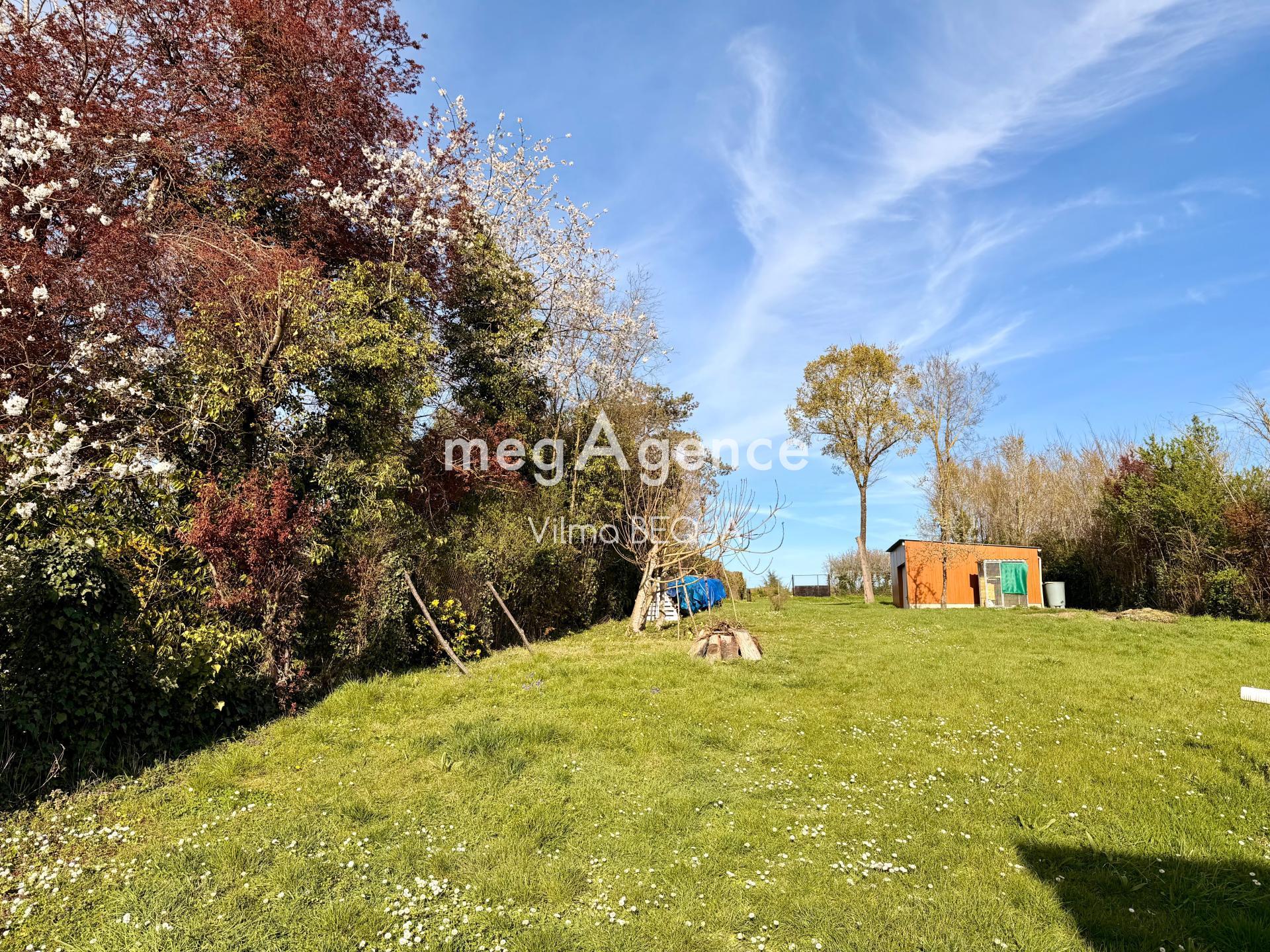 Miniature photo - 4 / 20