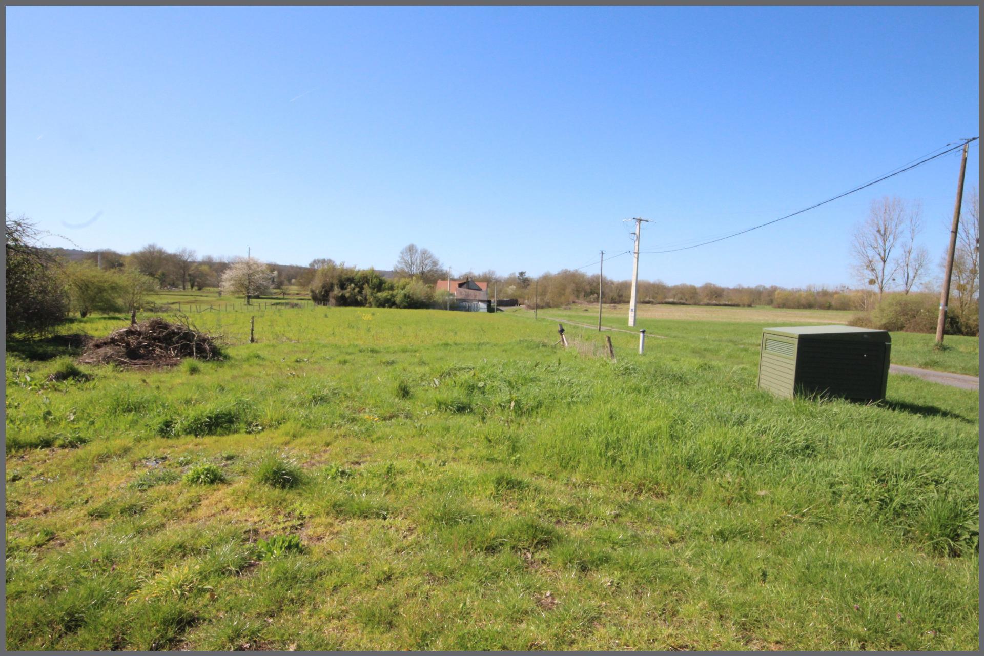 Miniature photo - 11 / 11