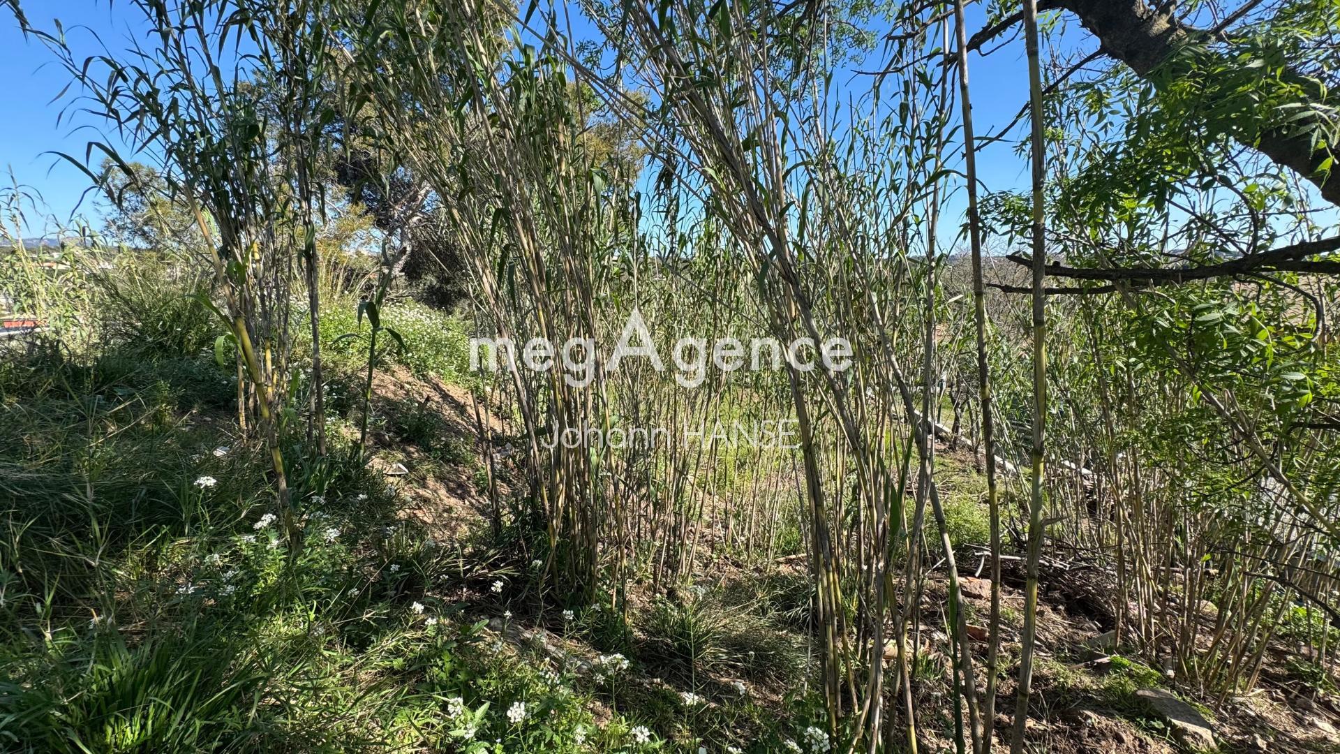 Miniature photo - 8 / 9