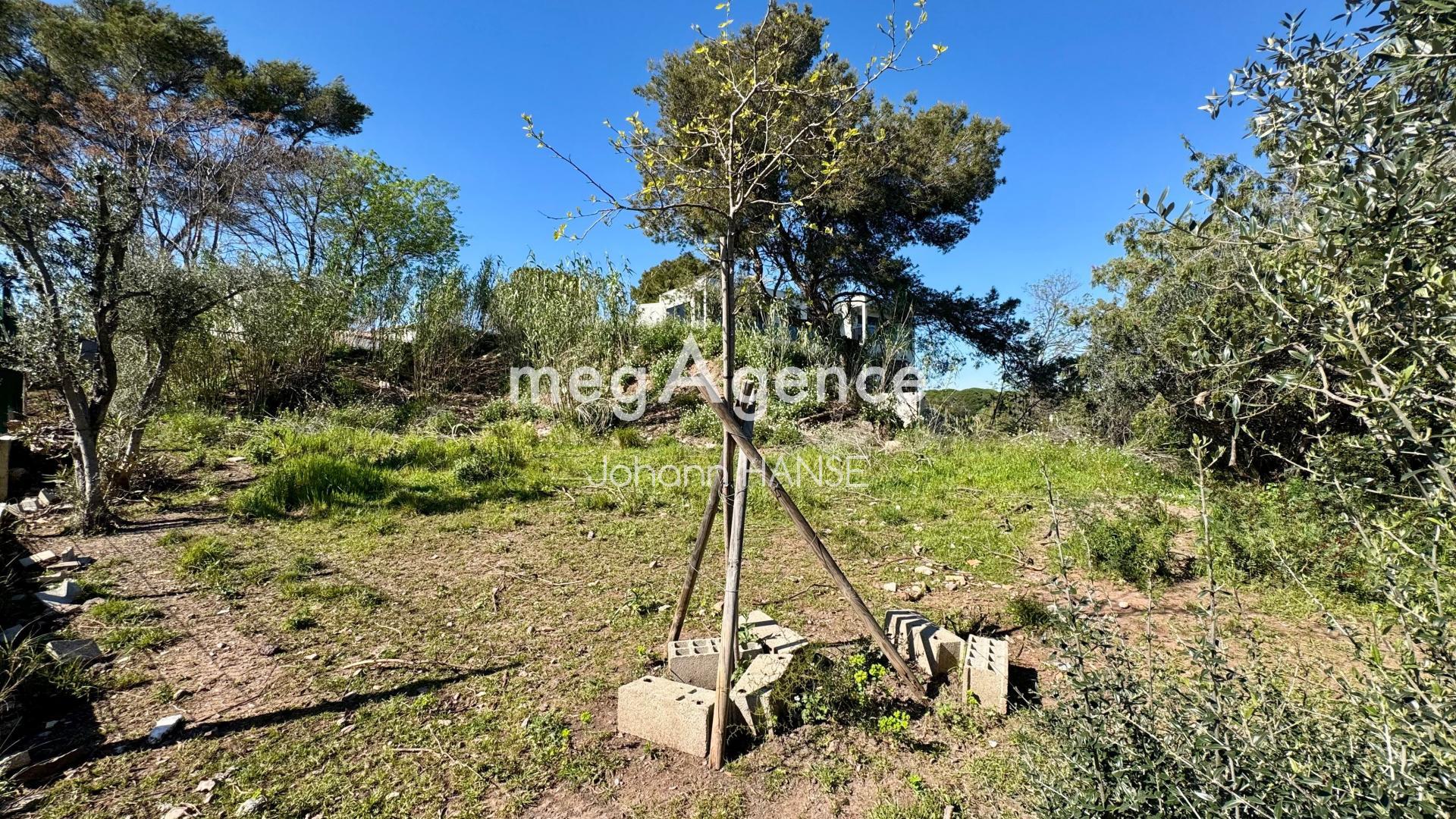 Miniature photo - 6 / 9