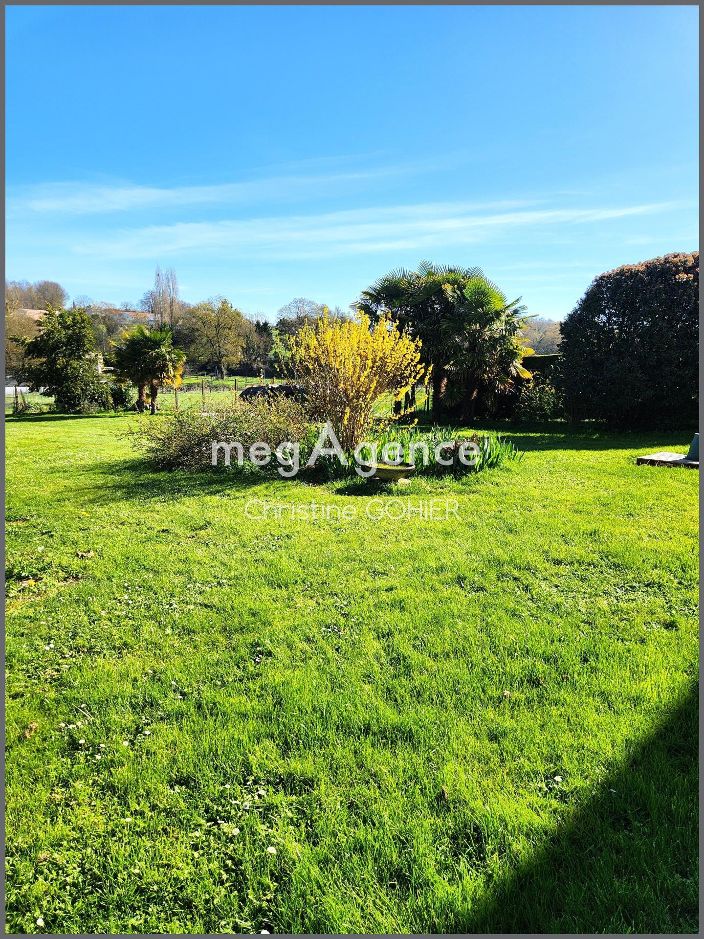 Miniature photo - 14 / 16