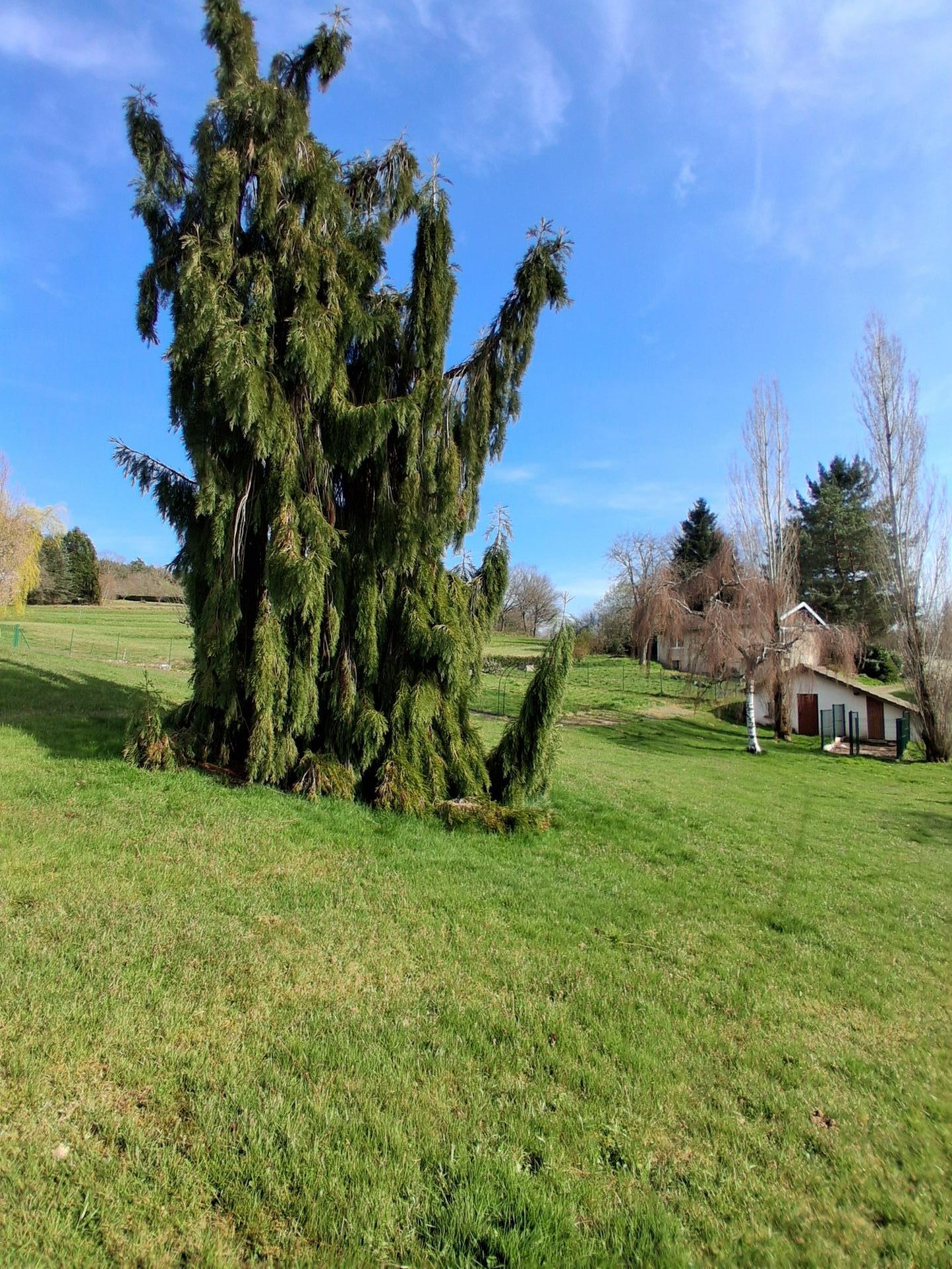 Miniature photo - 5 / 8